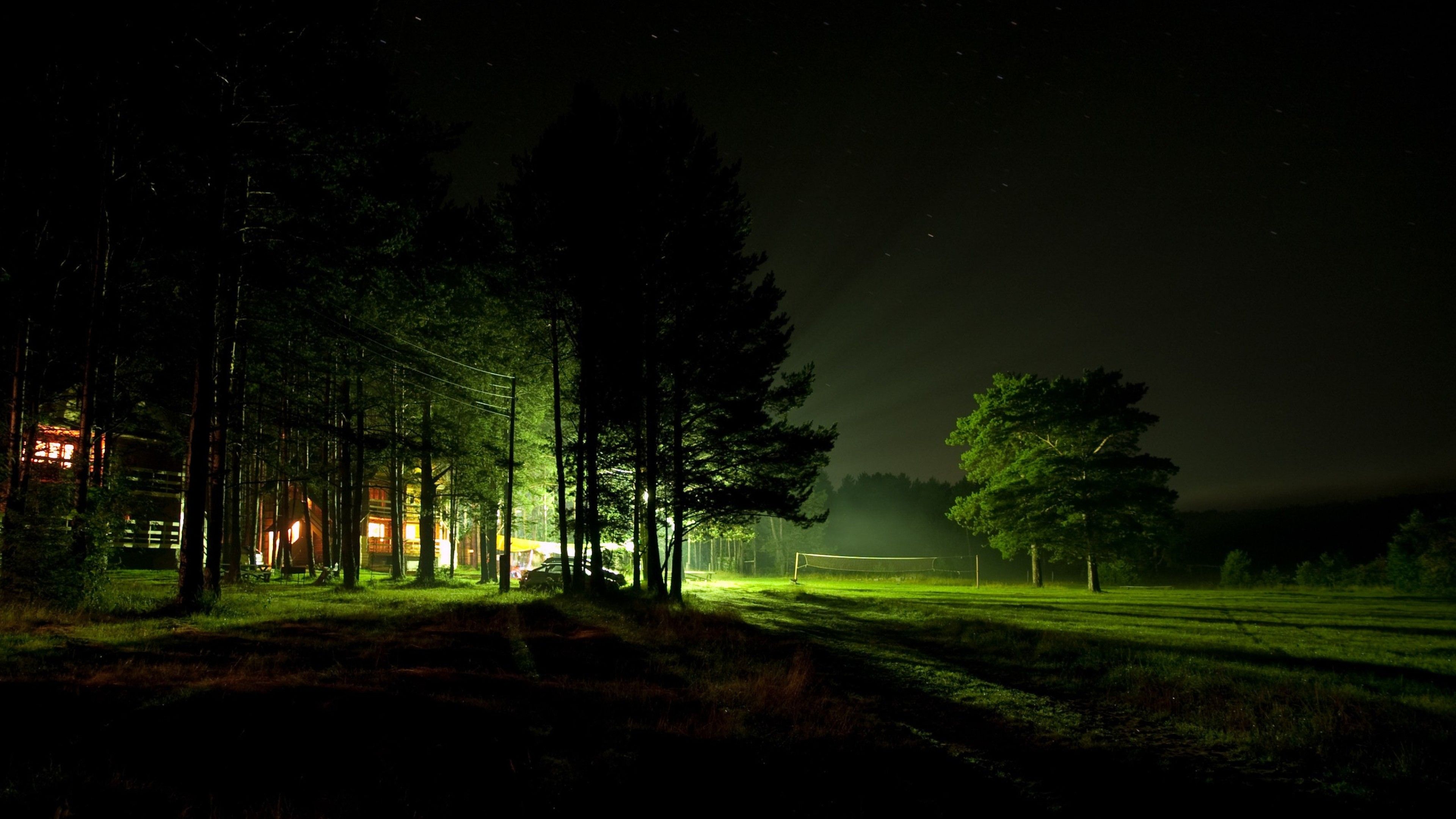 Покажи ночи. «Ночь в лесу». Ночной лес. Природа ночью. Пейзаж ночь.