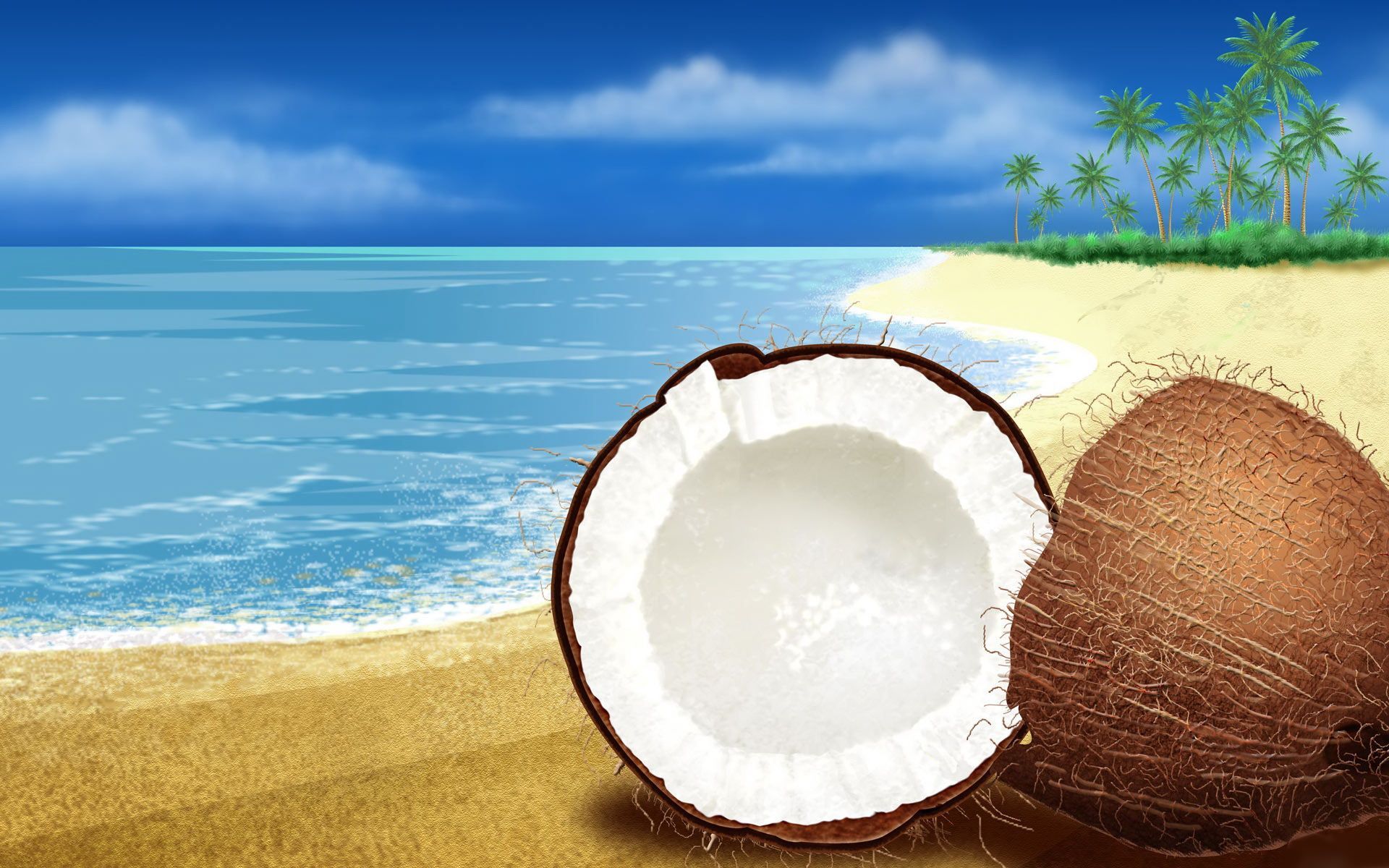 Coconuts beach .com