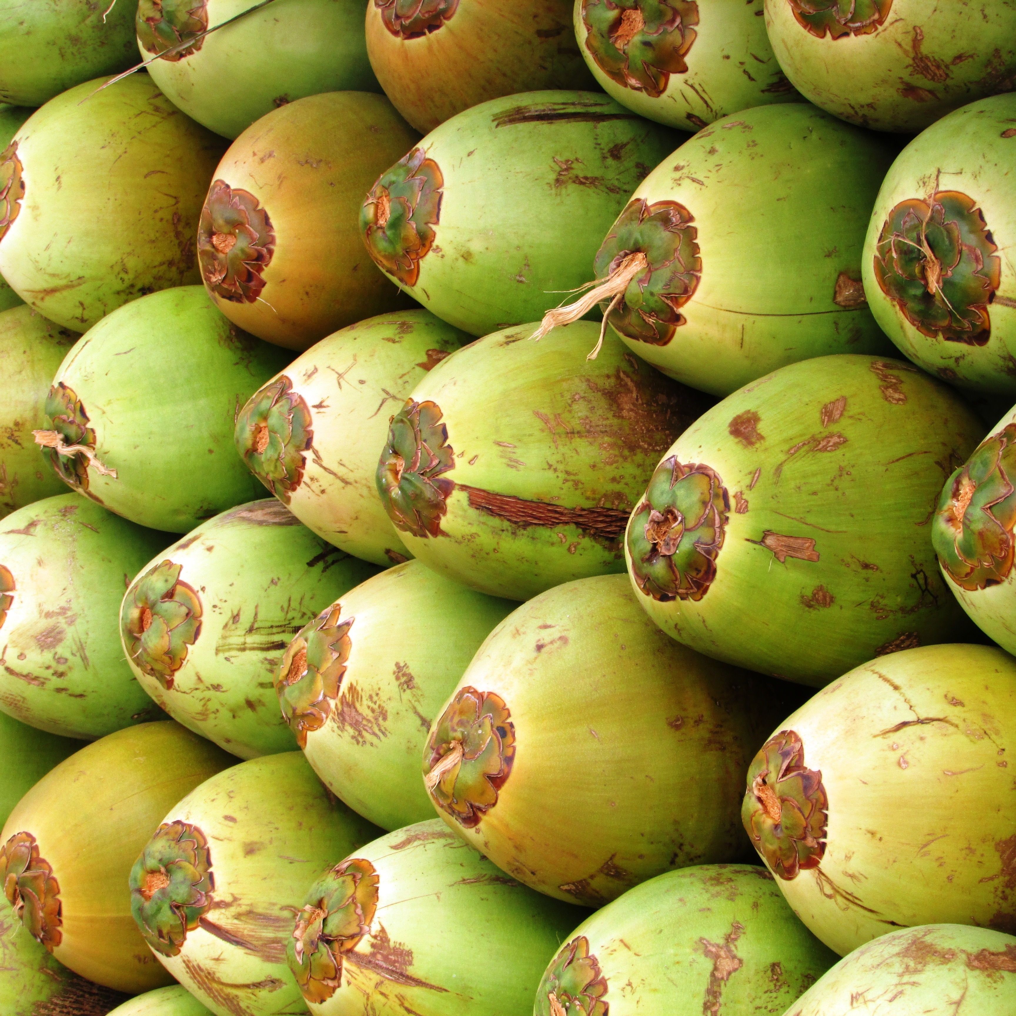 green coconut free image