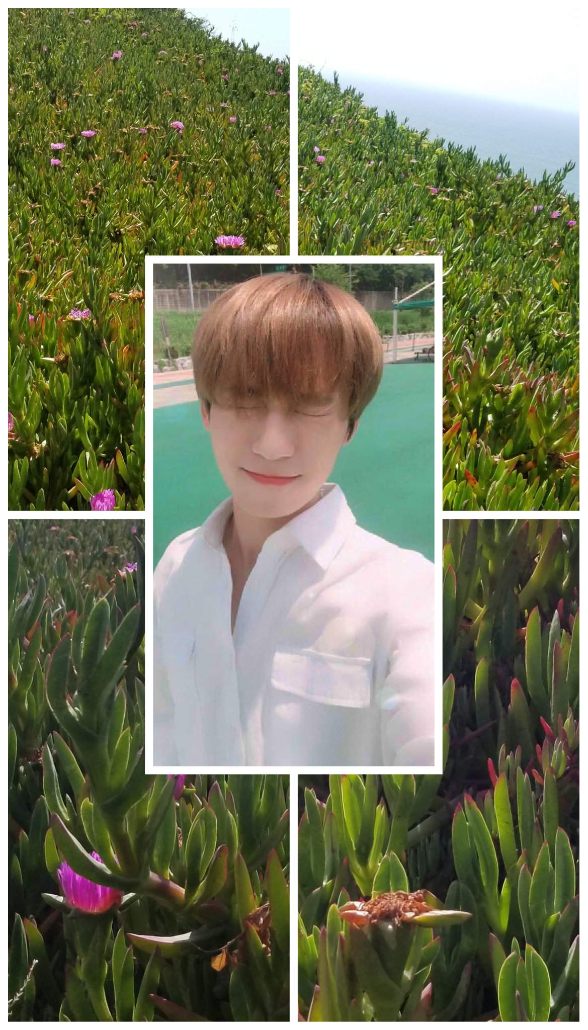 Wallpaper of keon hee. ONEUS 원어스 Amino