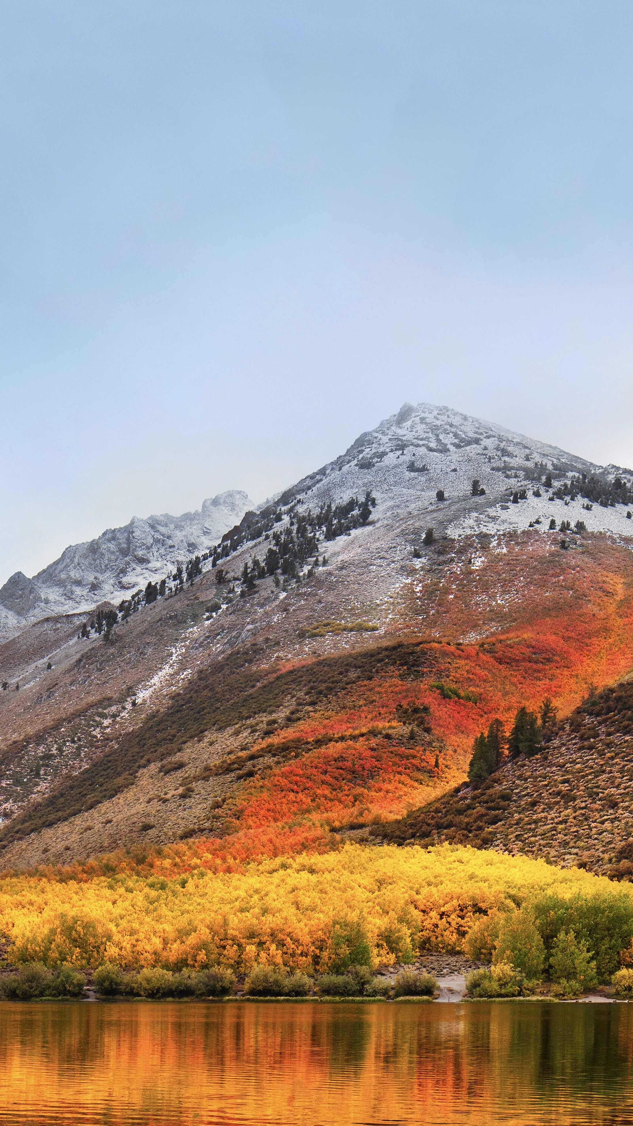 Download The macOS High Sierra Wallpaper For iPhone, iPad