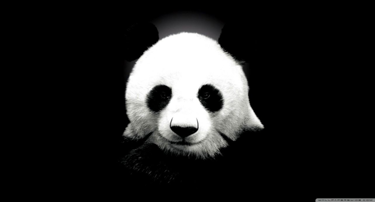 Panda Desktop HD Wallpaper. Mega .bmegawallpaper.blogspot.com