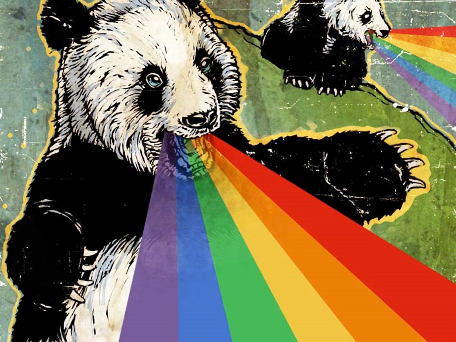 Bear Panda Rainbow Wallpaper .wallha.com