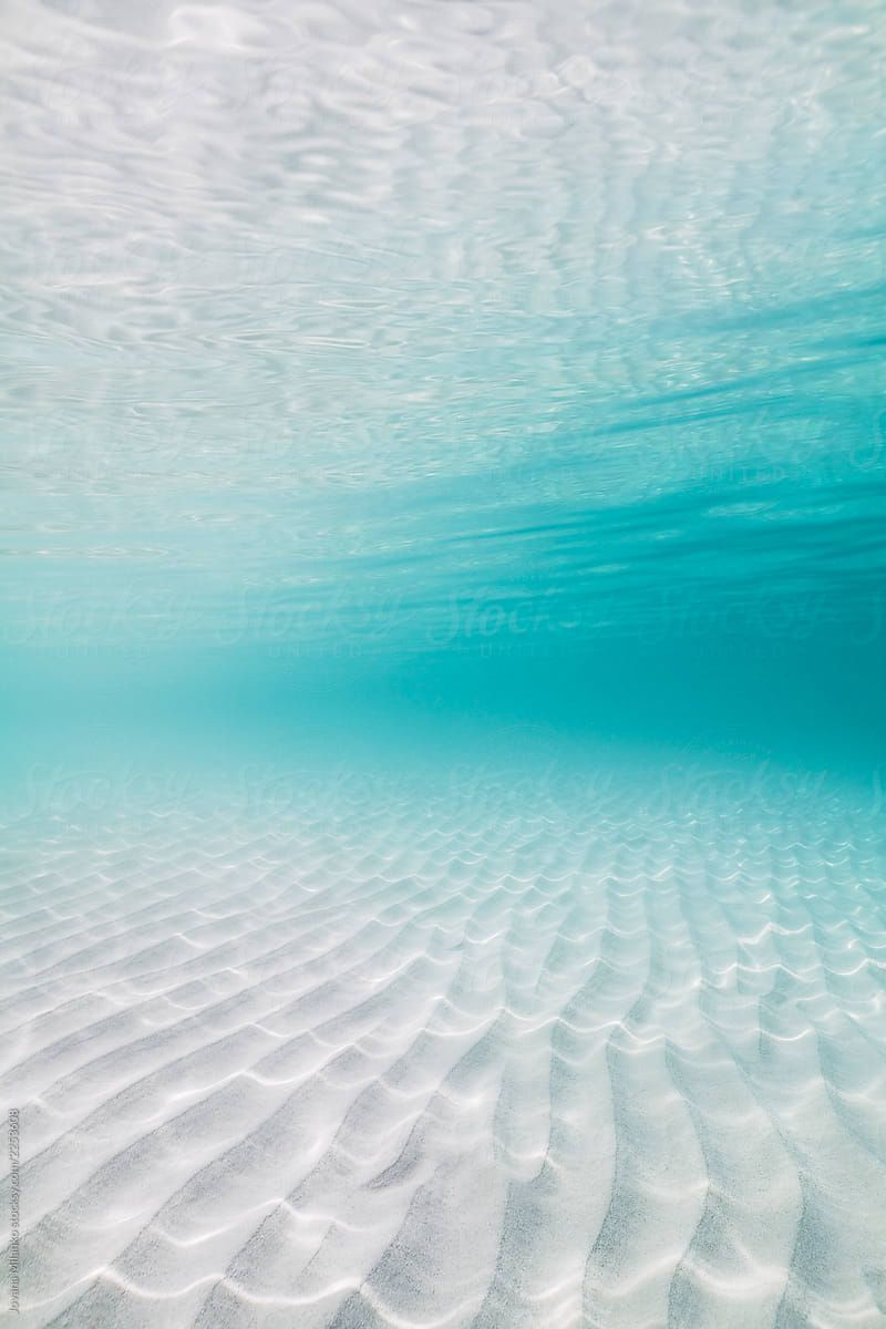 Transparent tropical sea shallow water .com