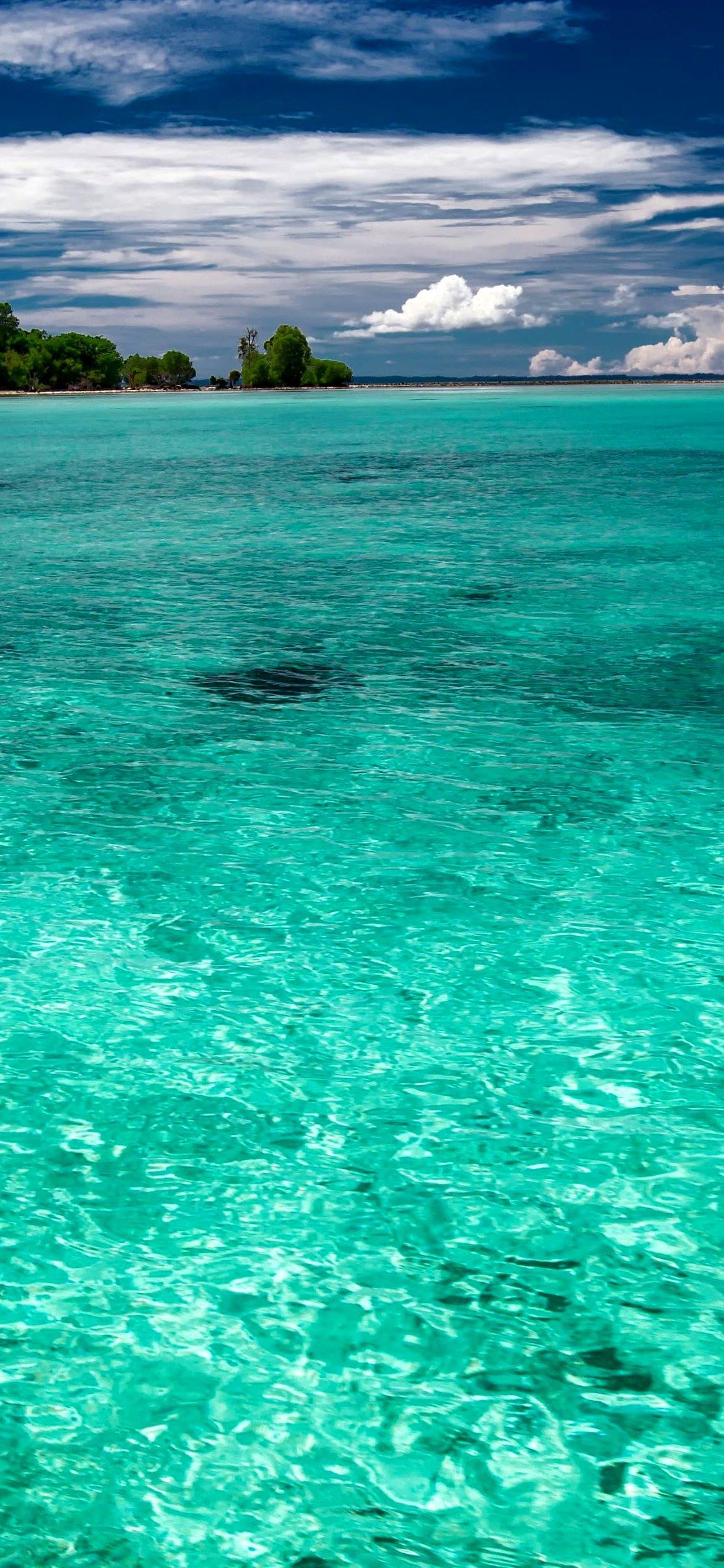 the shallow sea tropical kojima .com