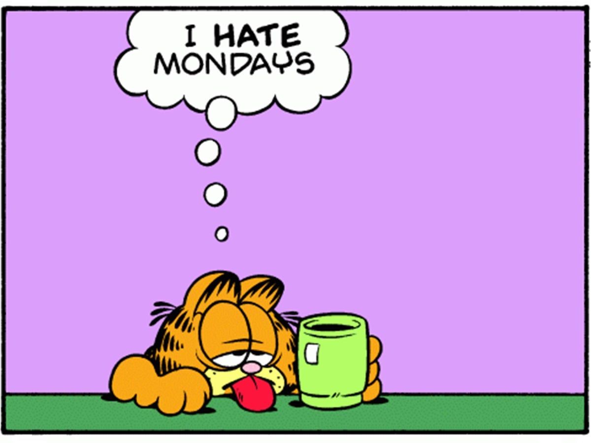Гарфилд i hate Mondays