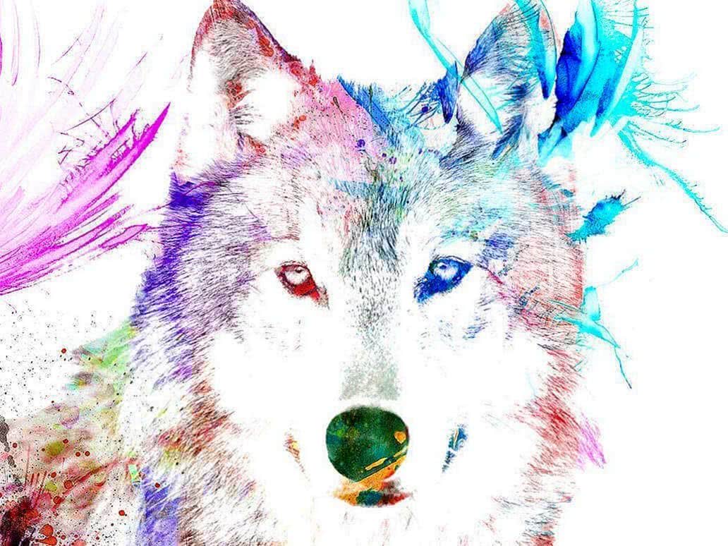 Cool Rainbow Wolf Wallpaper .wolf Wallpaper.pro