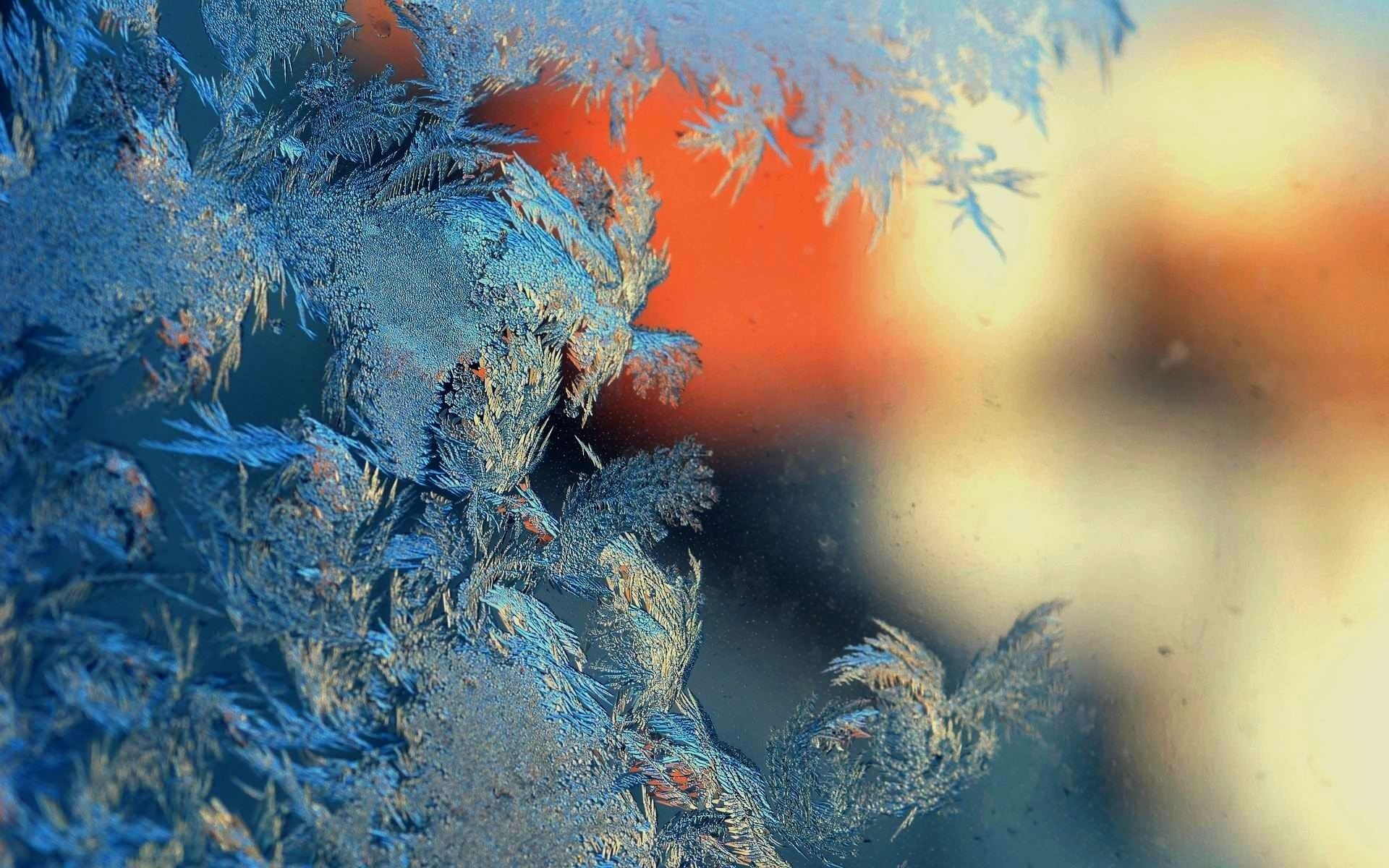 frost on window wallpaper