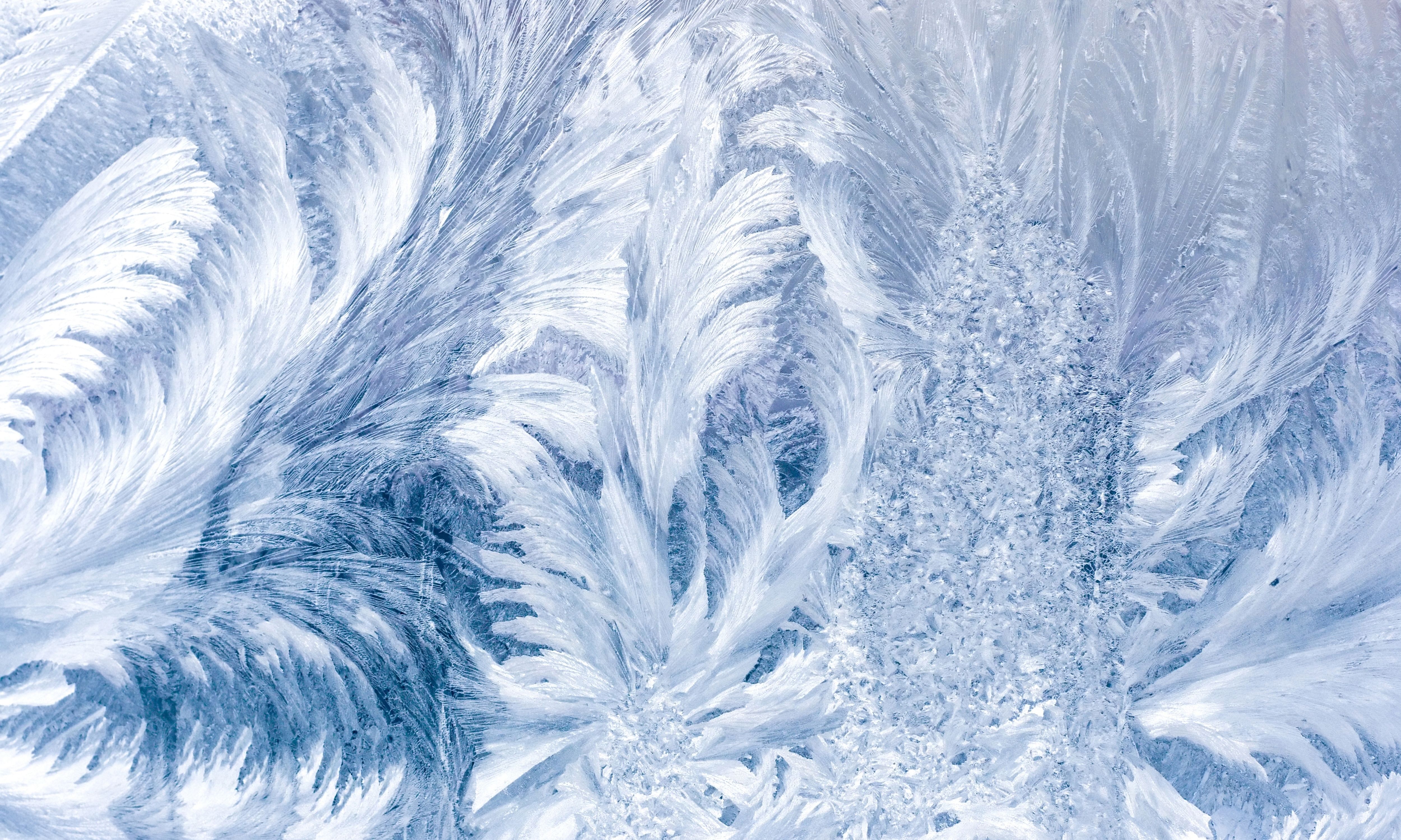 Free download Pattern frost glass frost .wallpaperafari.com