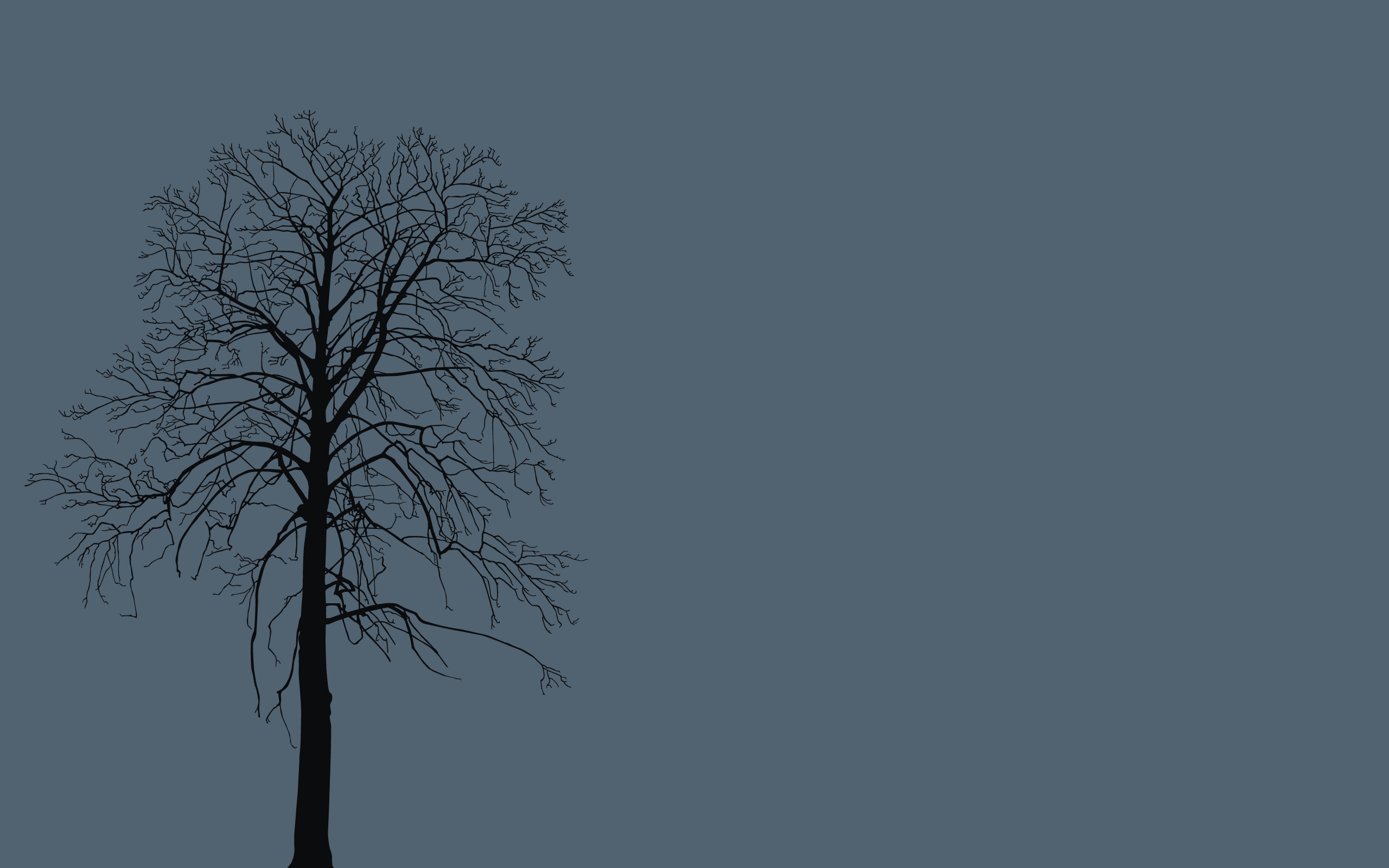 Winter Tree 2560x1600, MinimalWallpaperreddit.com