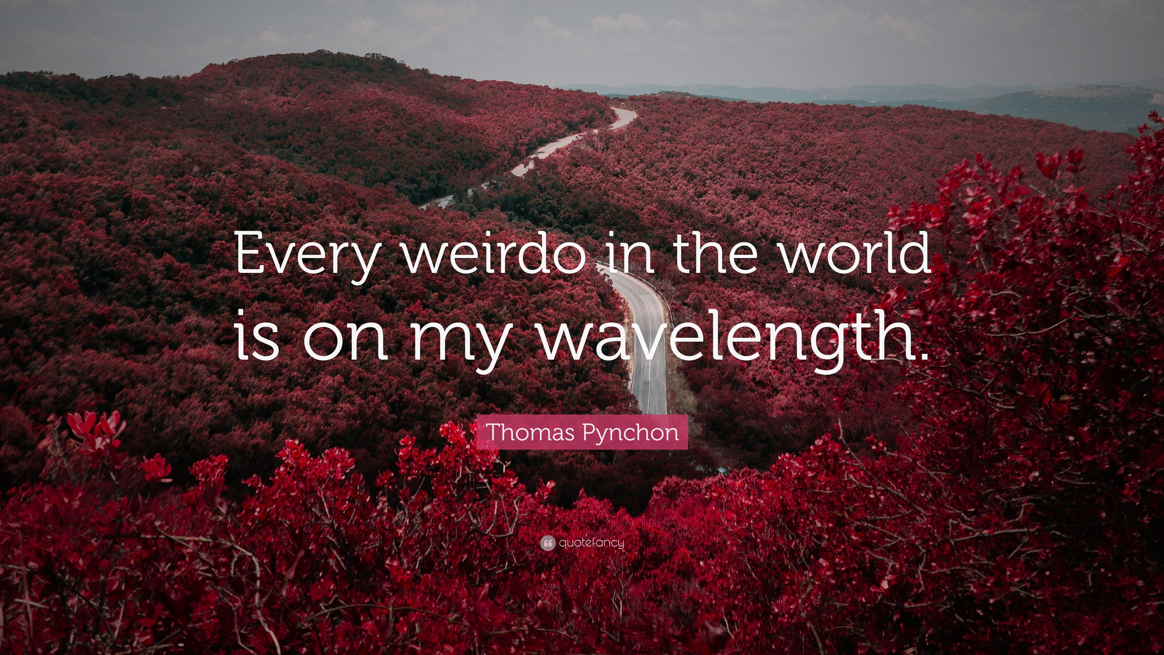 Thomas Pynchon Quote: “Every weirdo in .quotefancy.com