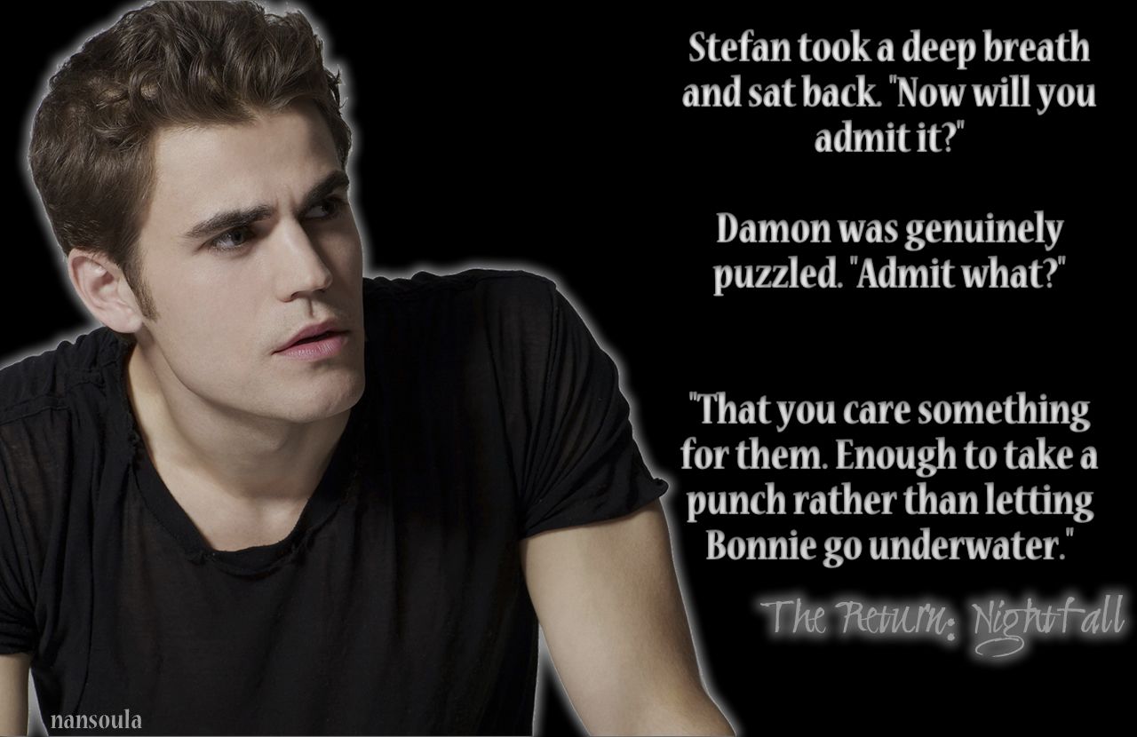 stefan and damon salvatore quotes