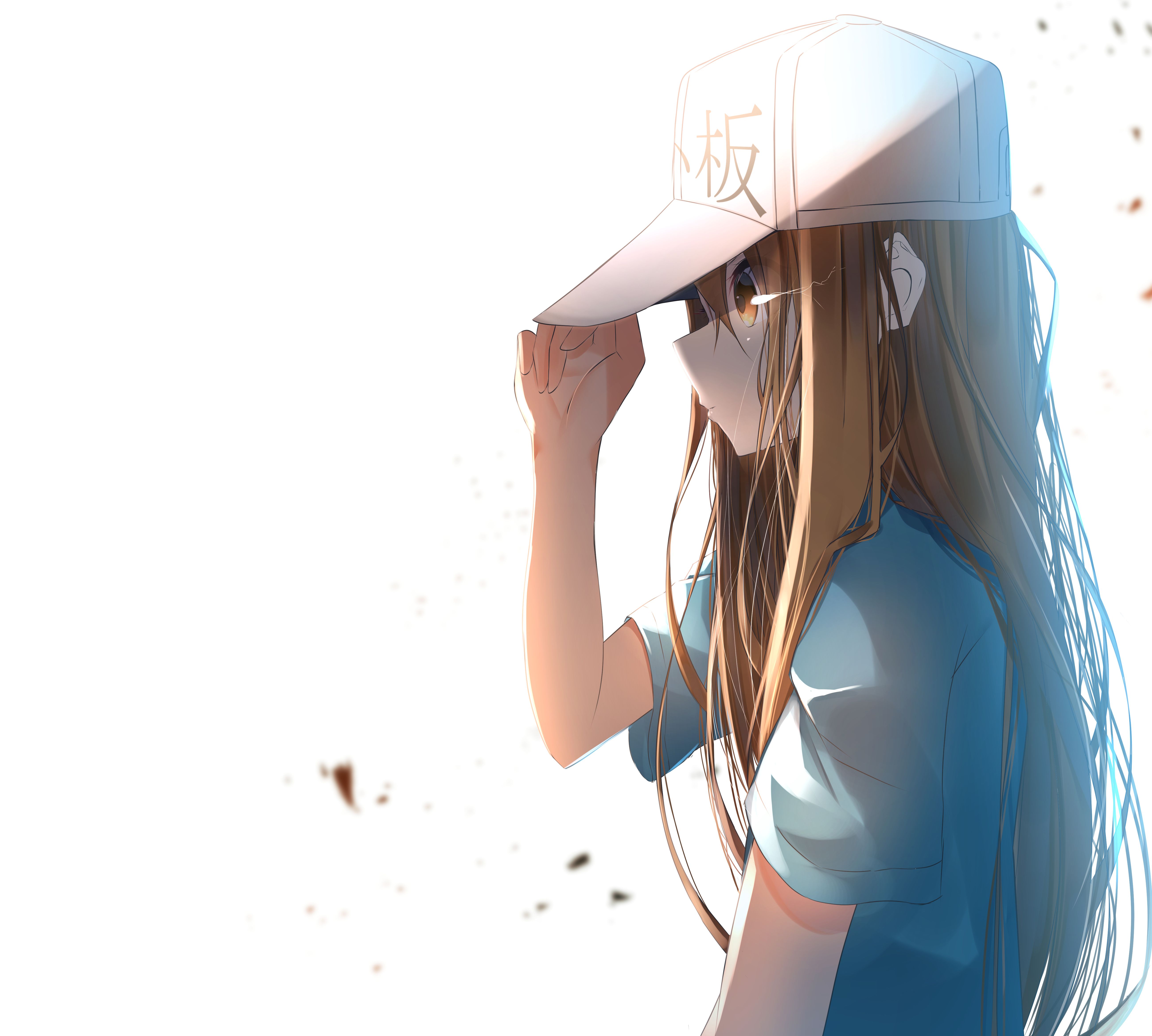 Platelet (Cells at Work!) HD Wallpapermocah.org