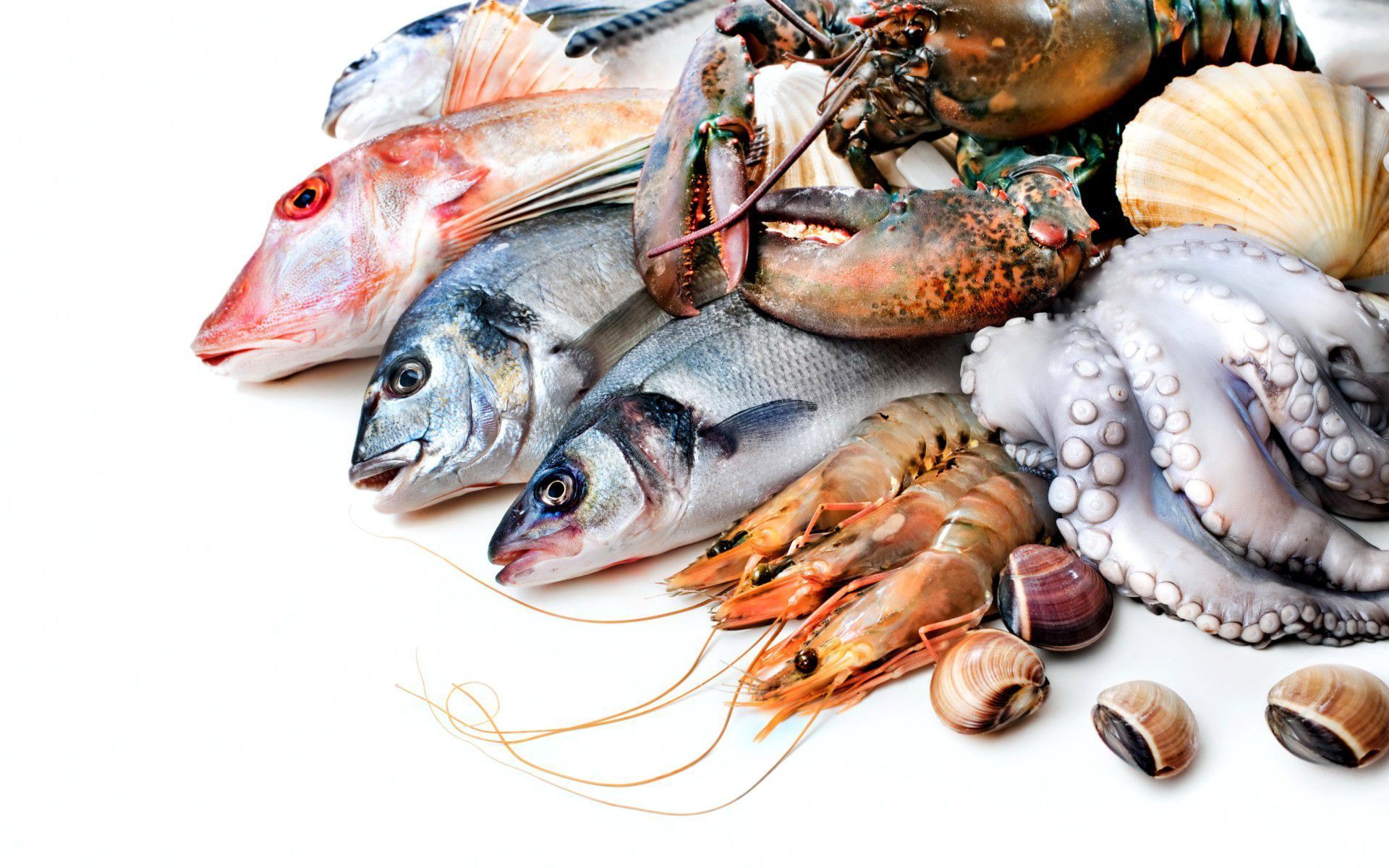 Seafood Wallpaper Free Seafood .wallpaperaccess.com