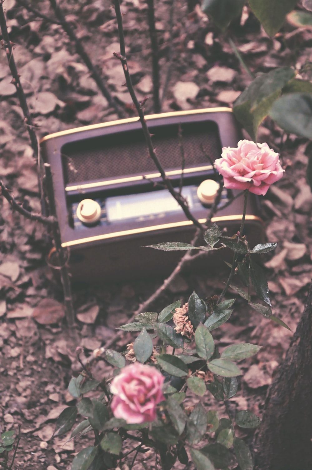 Vintage Radio Background Images, HD Pictures and Wallpaper For