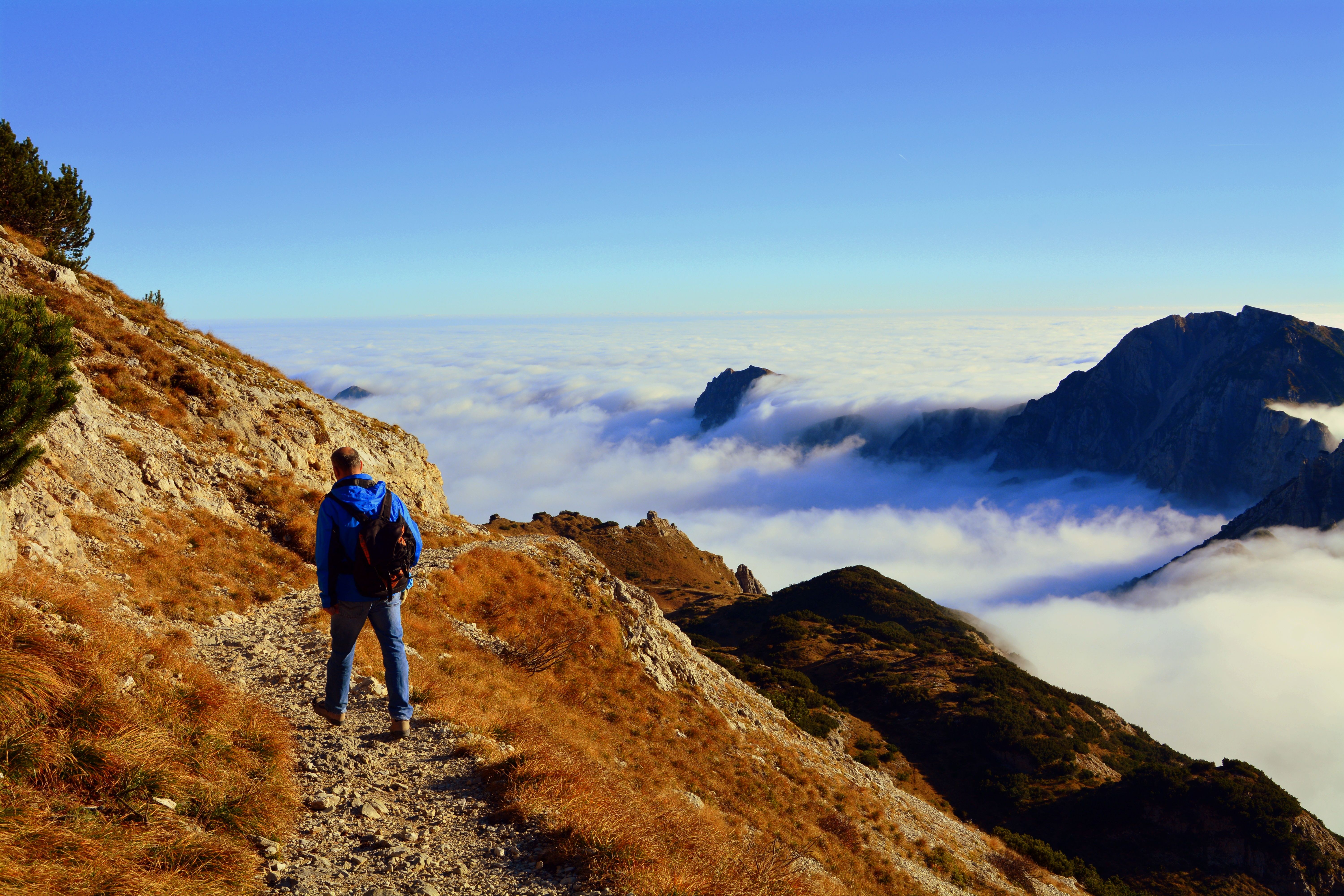 Man in Blue Jacket Walking on Pathway .pexels.com