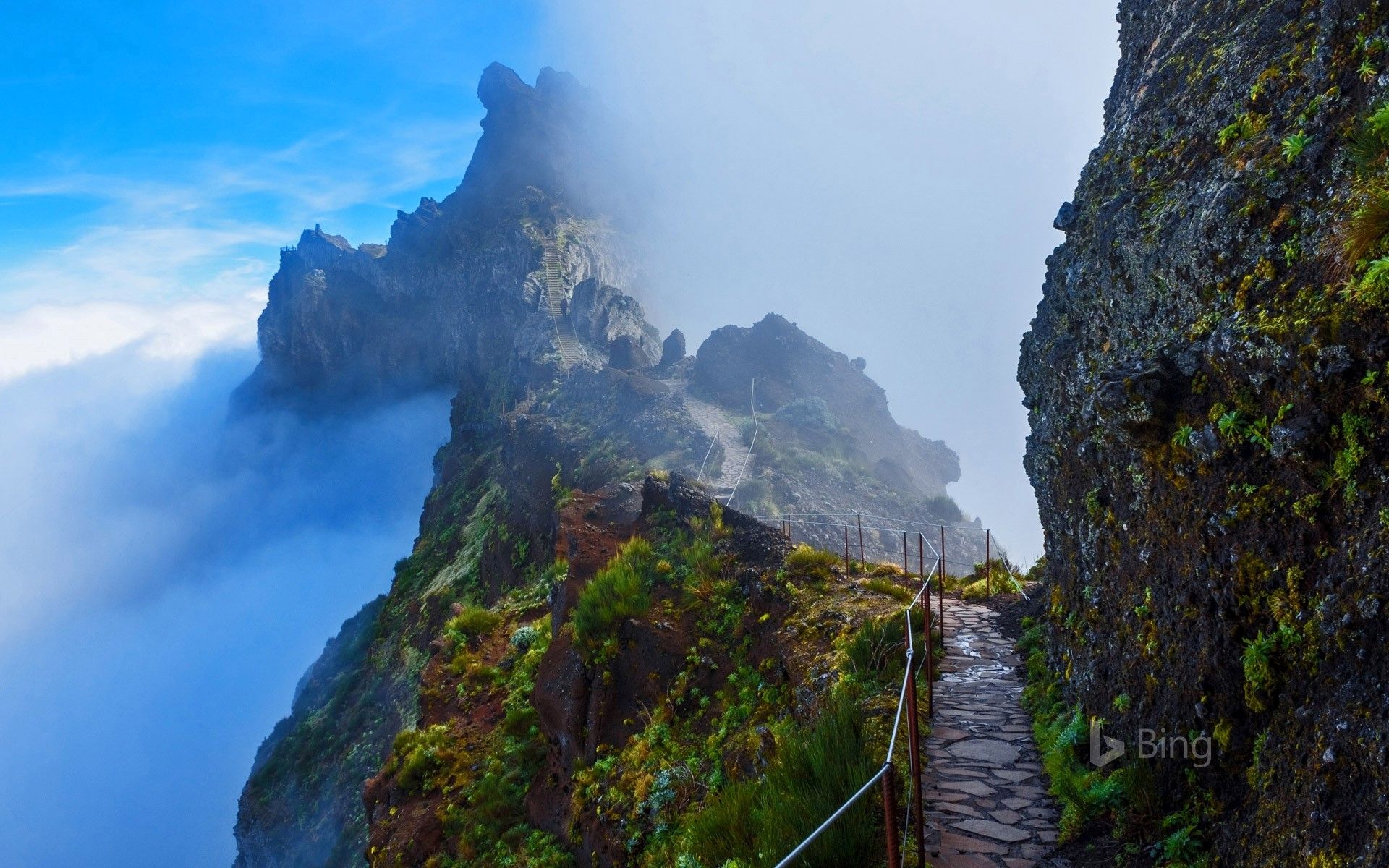 Mountain trail in Madeira, Portugal .com