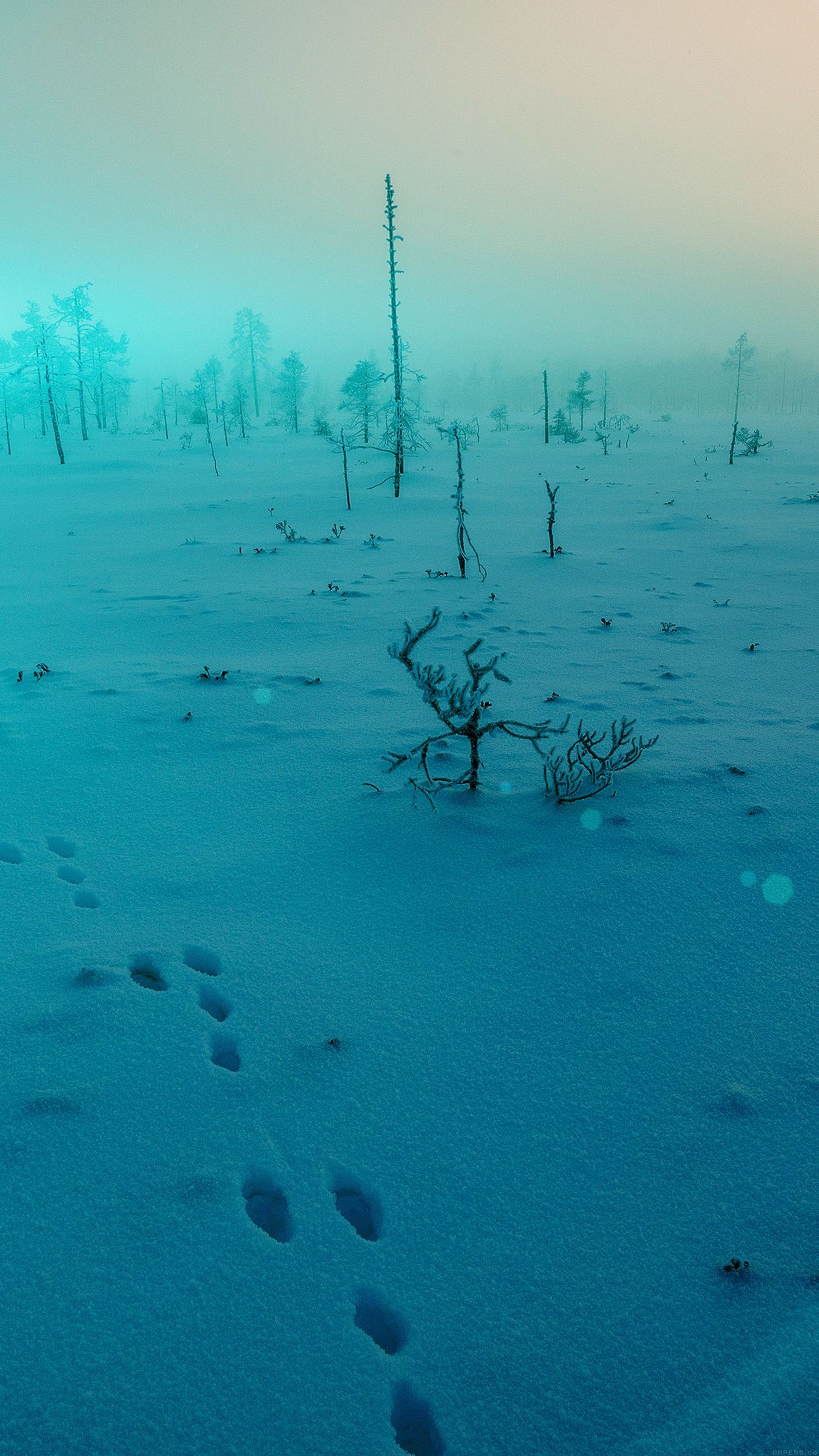 Snow Walk Winter Blue Footprints .iphonexpapers.com