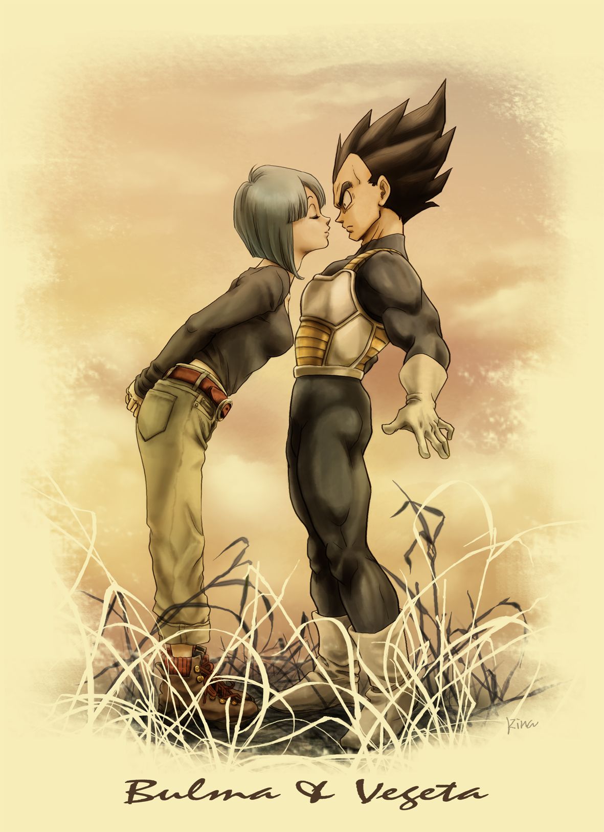 Vegeta And Bulma Wallpaper Free .wallpaperaccess.com