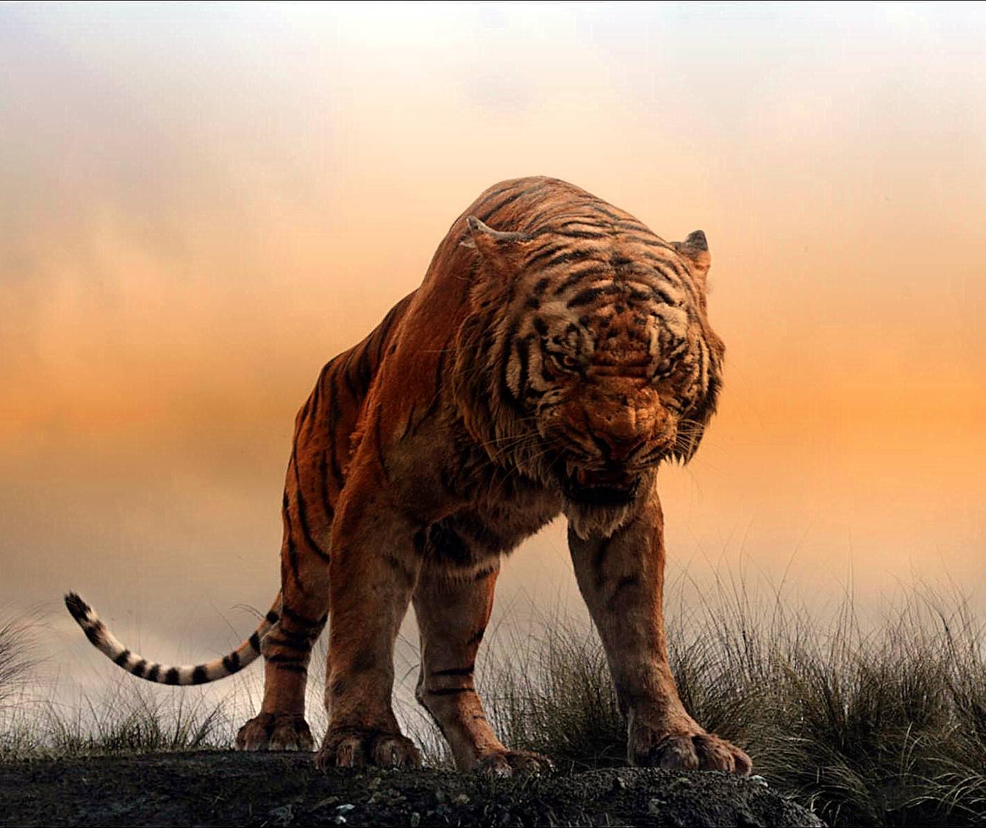 Tiger drawing wallpaper by KingMixer .zedge.net