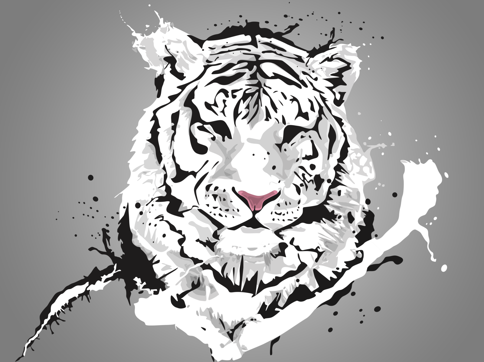 White tiger, Tiger drawing, Tiger .com