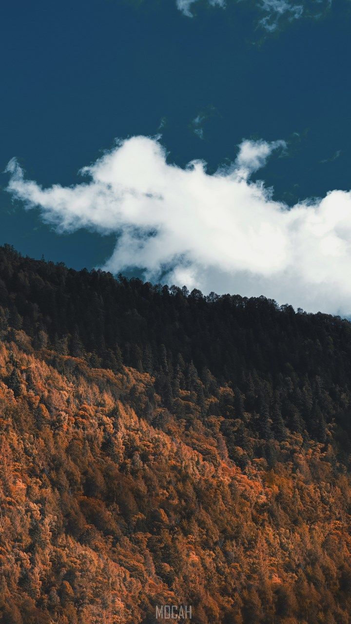 Xiaomi Redmi 2 HD wallpaper, Backgroundmocah.org