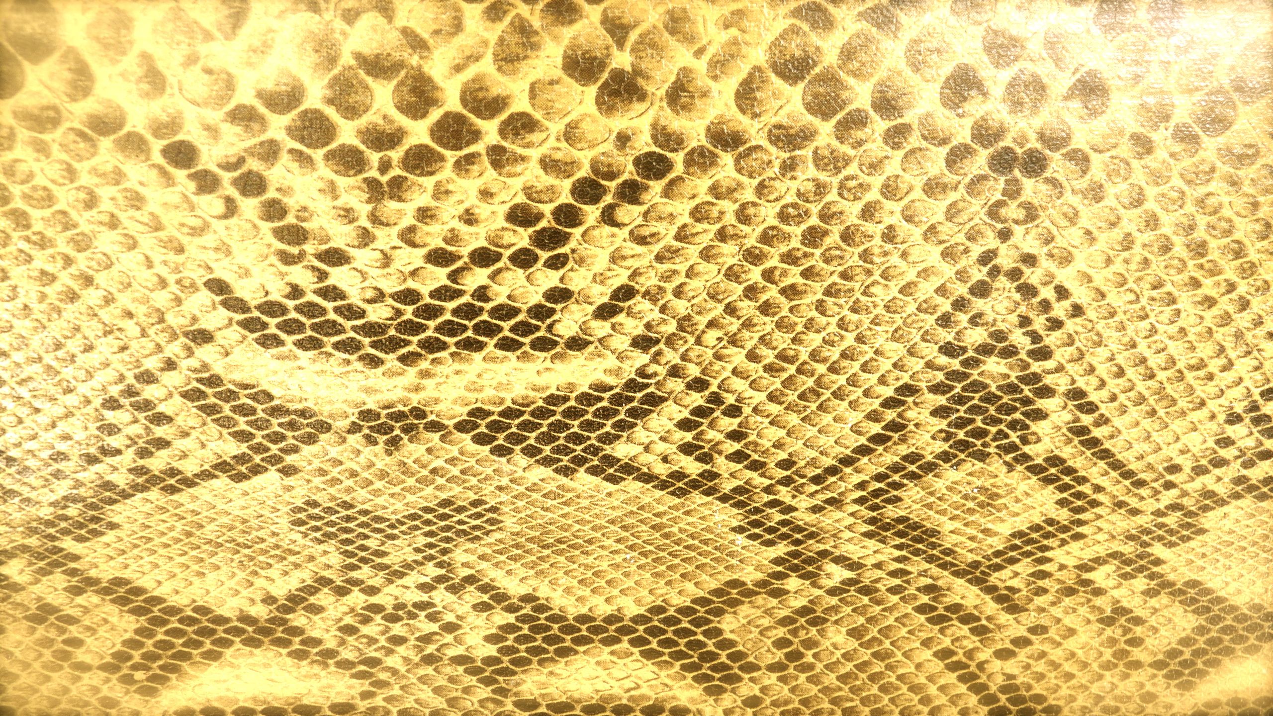 Gold Snakes Wallpapers - Wallpaper Cave