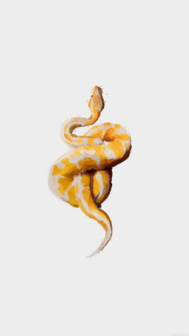 Gold Snakes Wallpapers - Wallpaper Cave