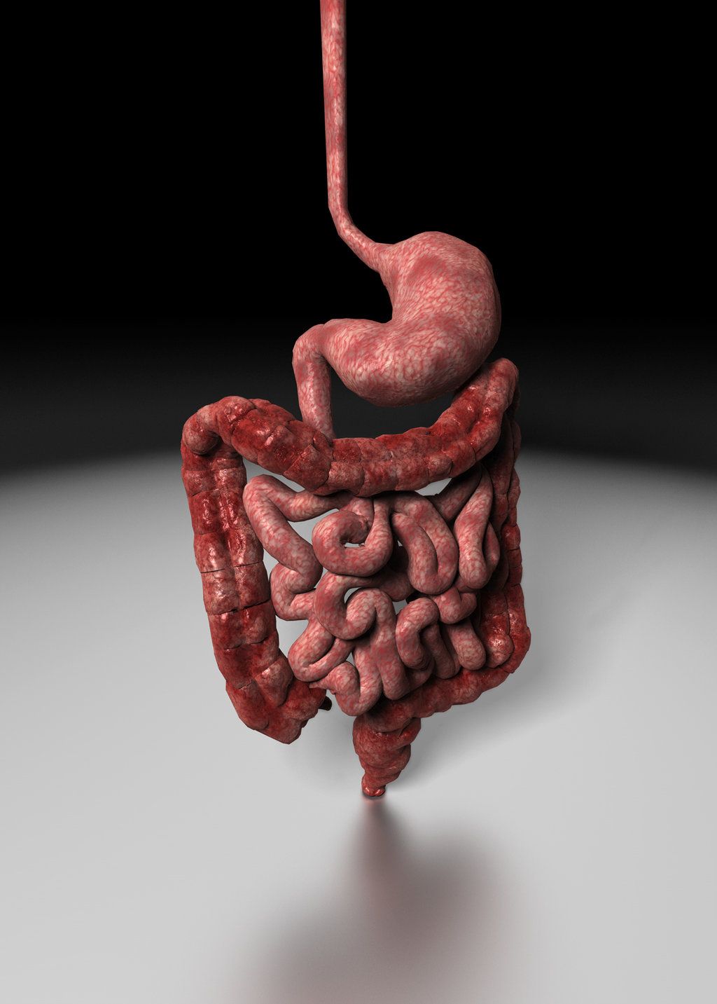 Human Digestive System Backgroundpptbackground.org