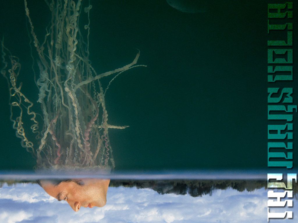 music wallpaper, desktop backrgounds .bandswallpaper.com