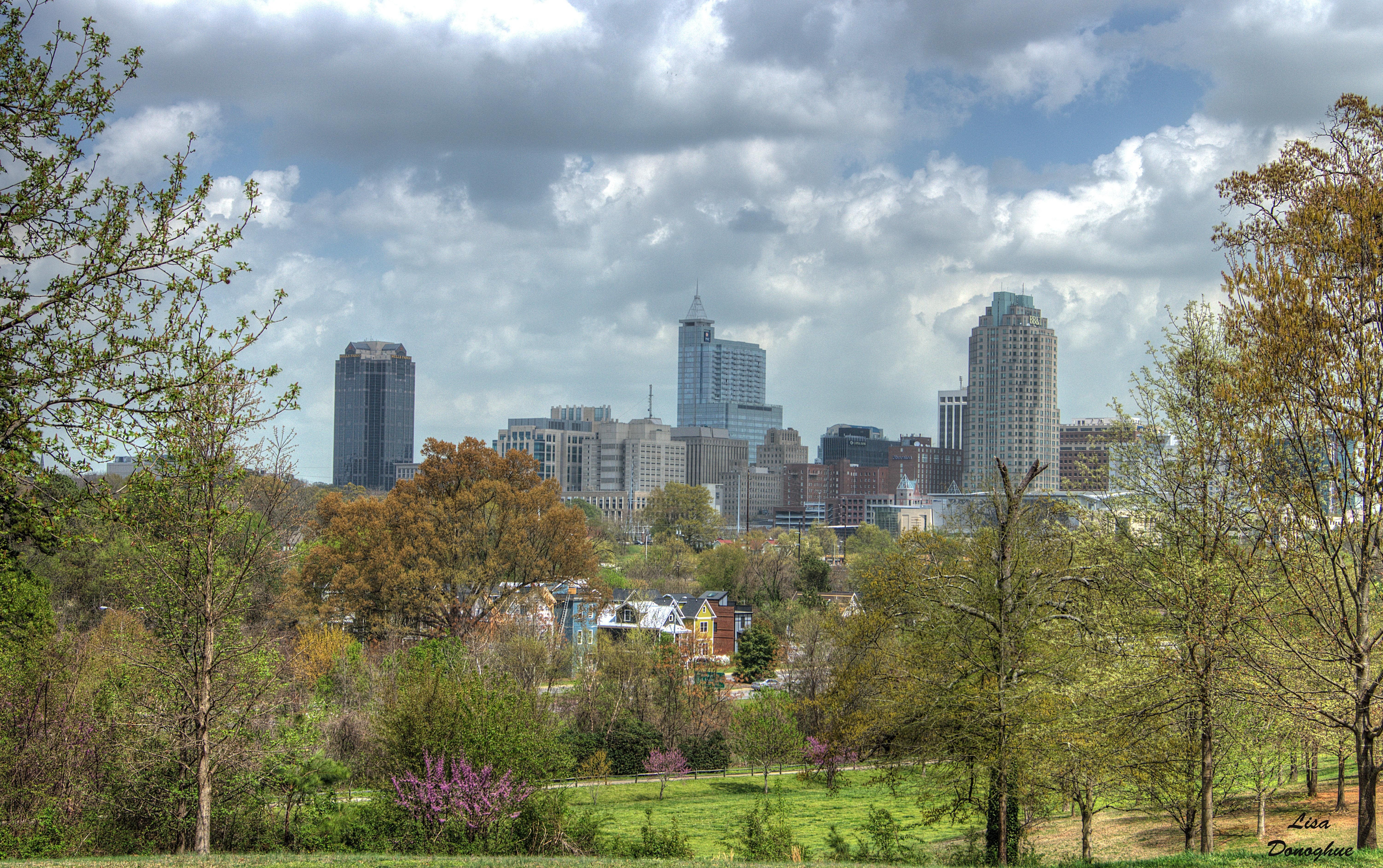 Raleigh North Carolina 4K wallpaperfree4kwallpaper.com