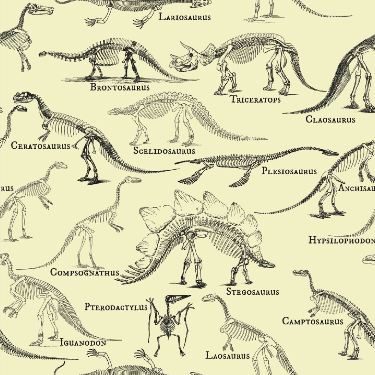 Dinosaur Skeletons Wallpaper & Surface Covering