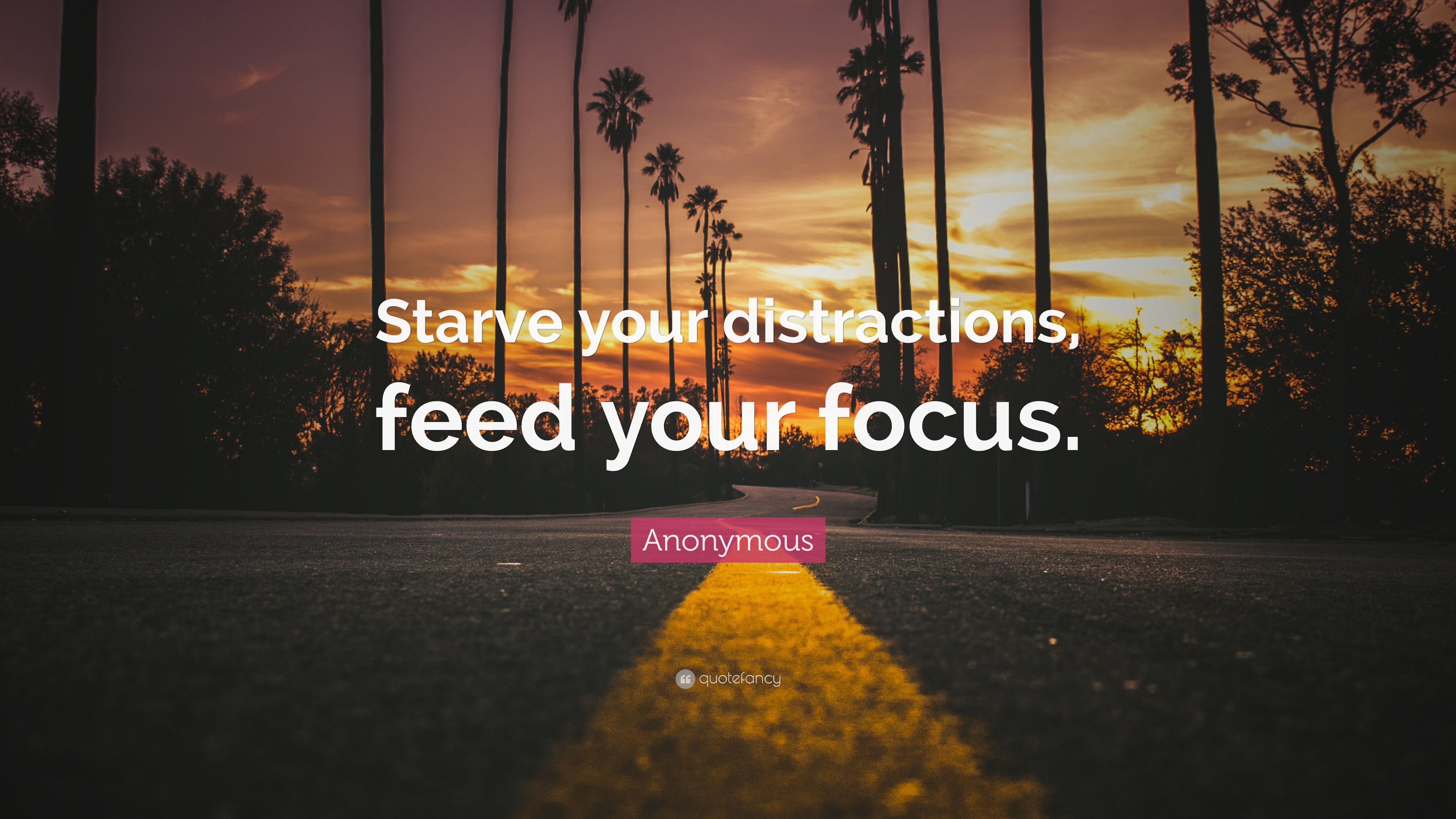 Anonymous Quote Starve your distractions feed your focus