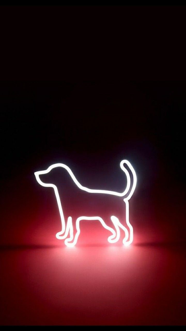 Neon Dog Wallpaper Free Neon Dog Background