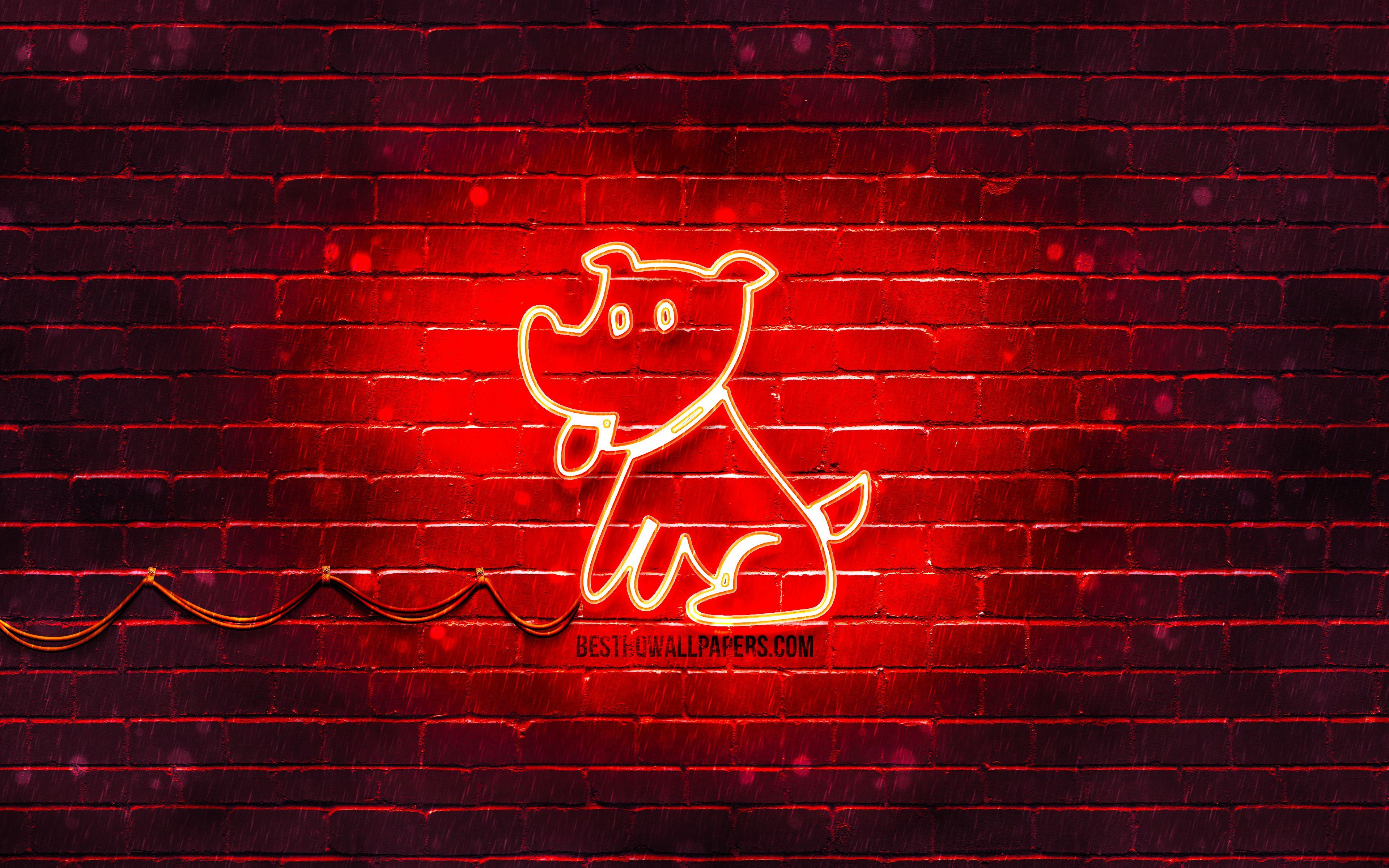 Neon Dog Wallpaper Free Neon Dog Background