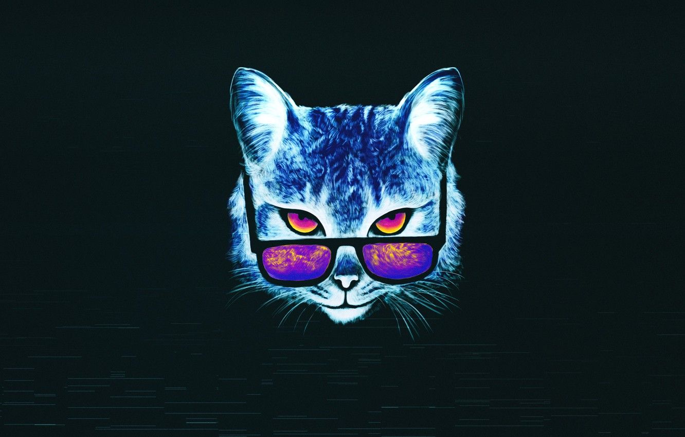 1360x768 Neon Cat Laptop HD HD 4k Wallpapers, Images, Backgrounds, Photos  and Pictures