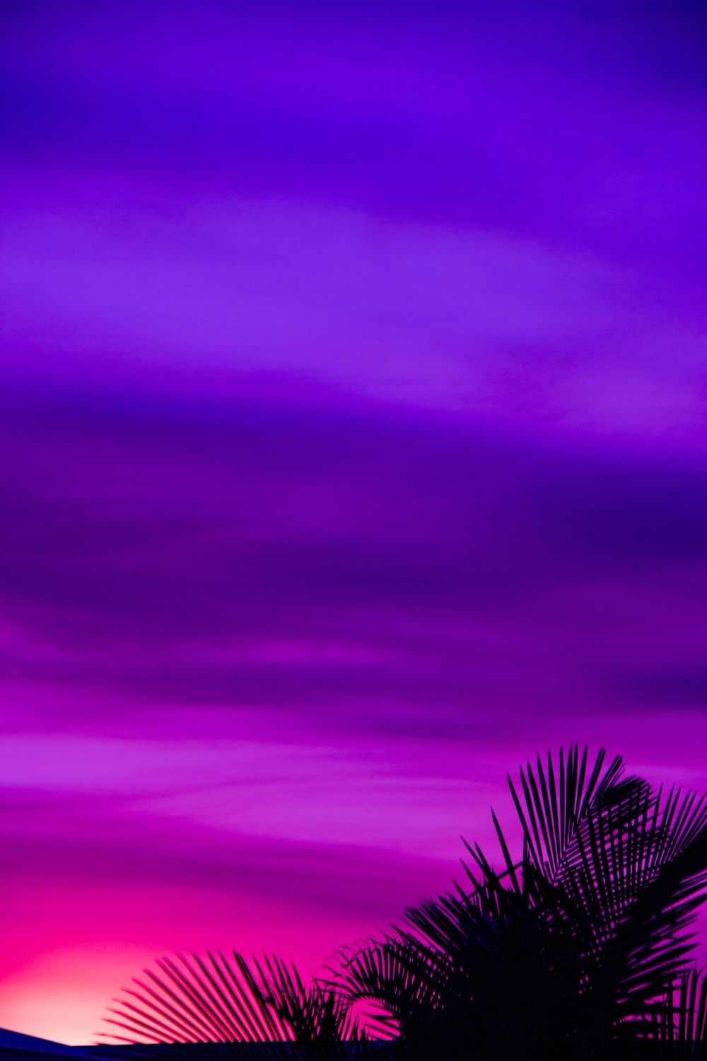 Purple Wallpaper: Free HD Download .com