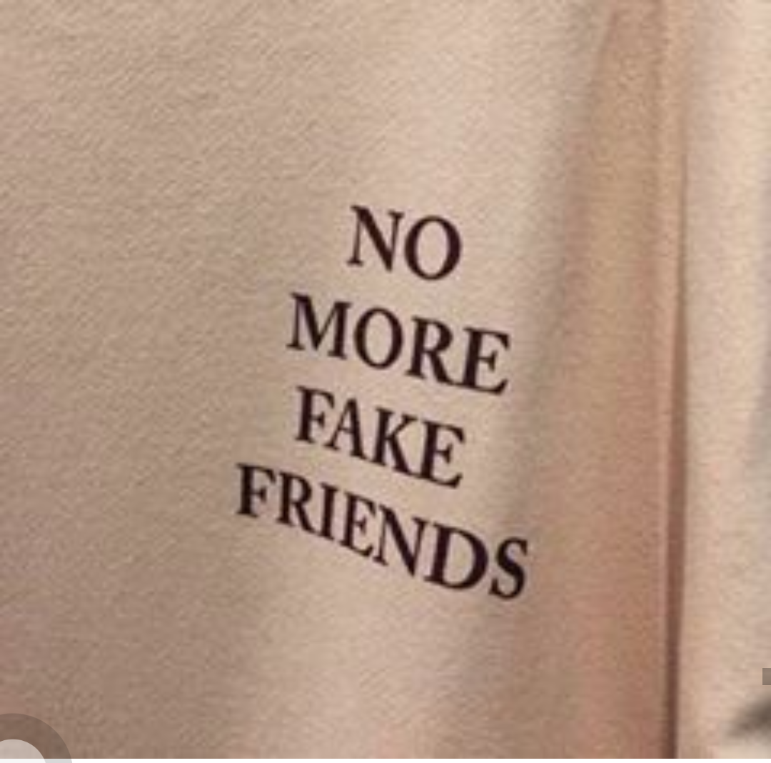 Fake Friend Image