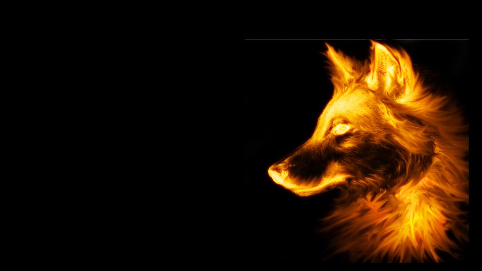 3D Fox Wallpaper HD Wolf Black Background
