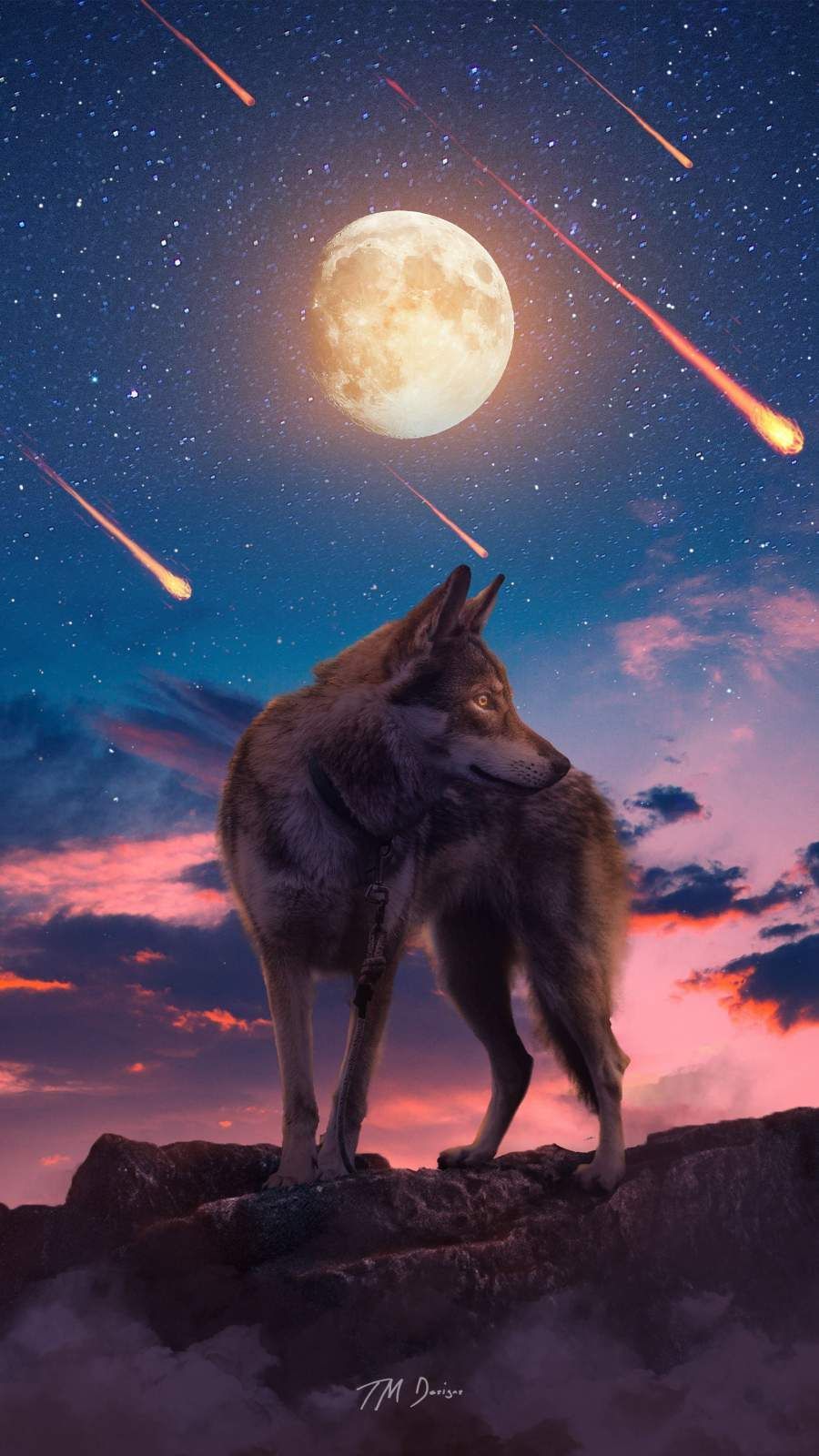 The Lone Wolf iPhone Wallpaper. iPhone wallpaper wolf, Wild animal wallpaper, Spirit animal art
