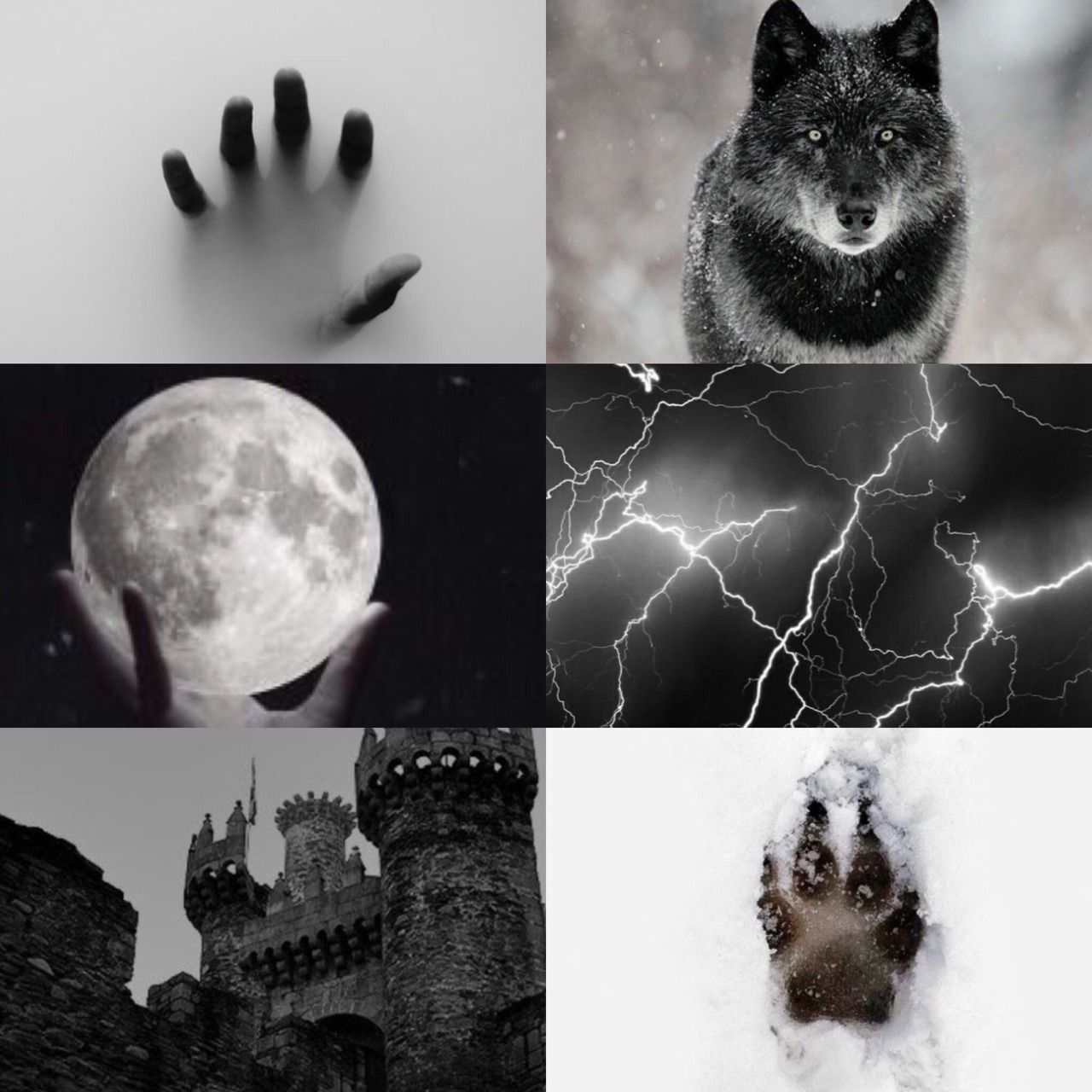 Black wolf aesthetic for .ar.com