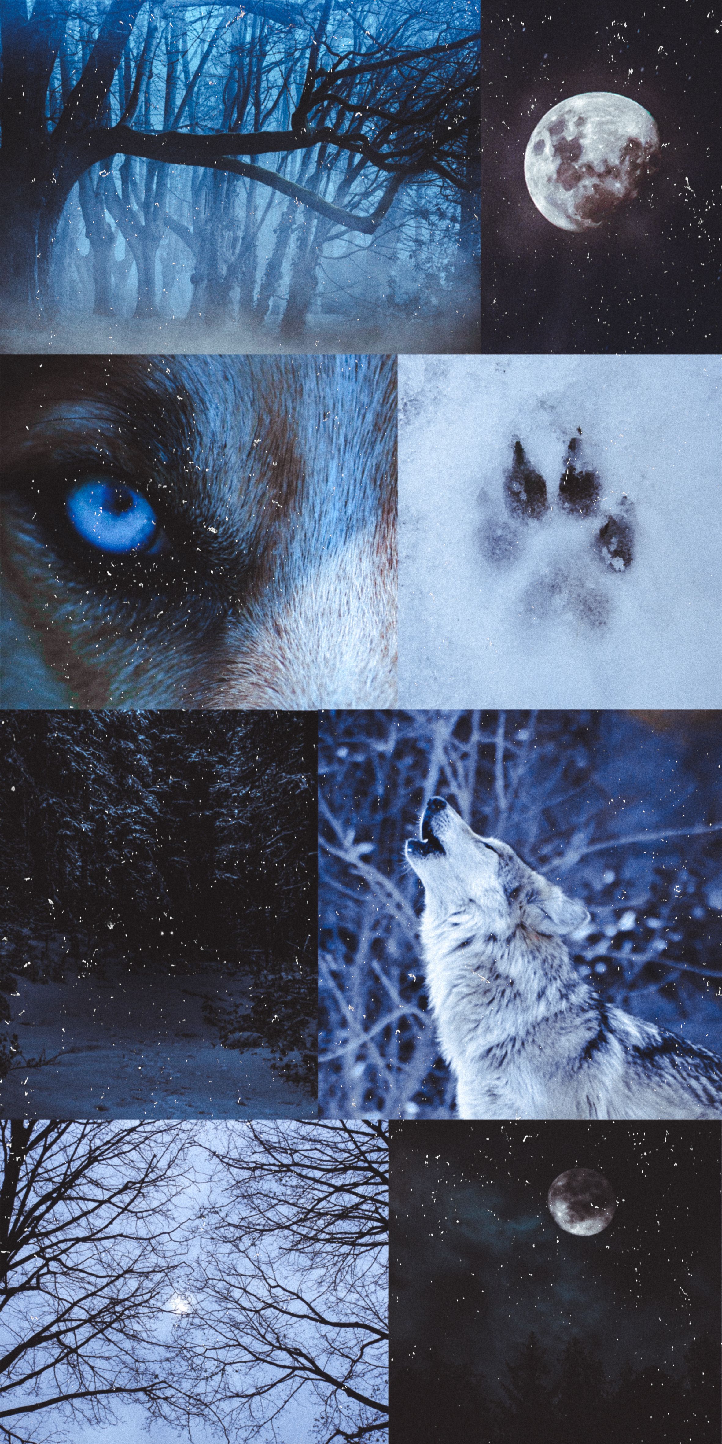 Wolf aesthetic wallpaper collage dark .it