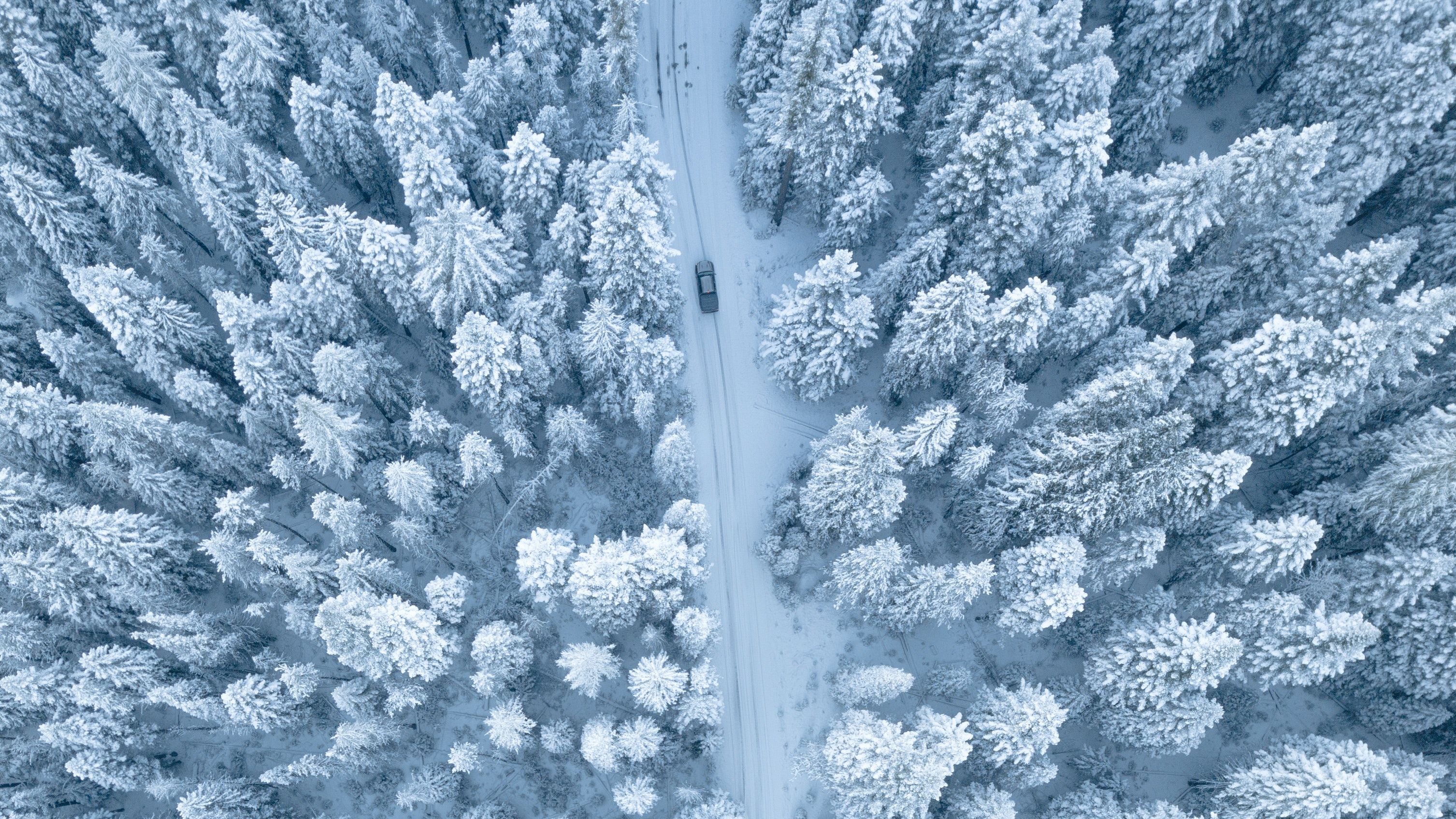 Aerial Photography of Pine Trees .pexels.com