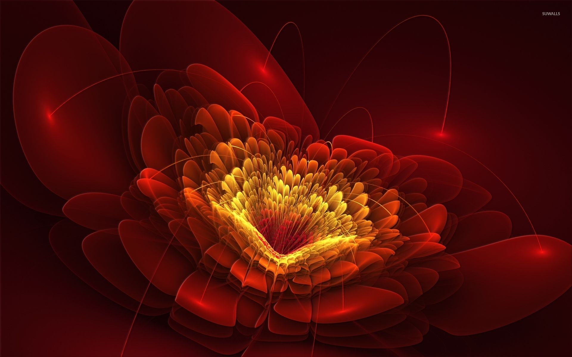Golden core of the red flower wallpaper .suwalls.com