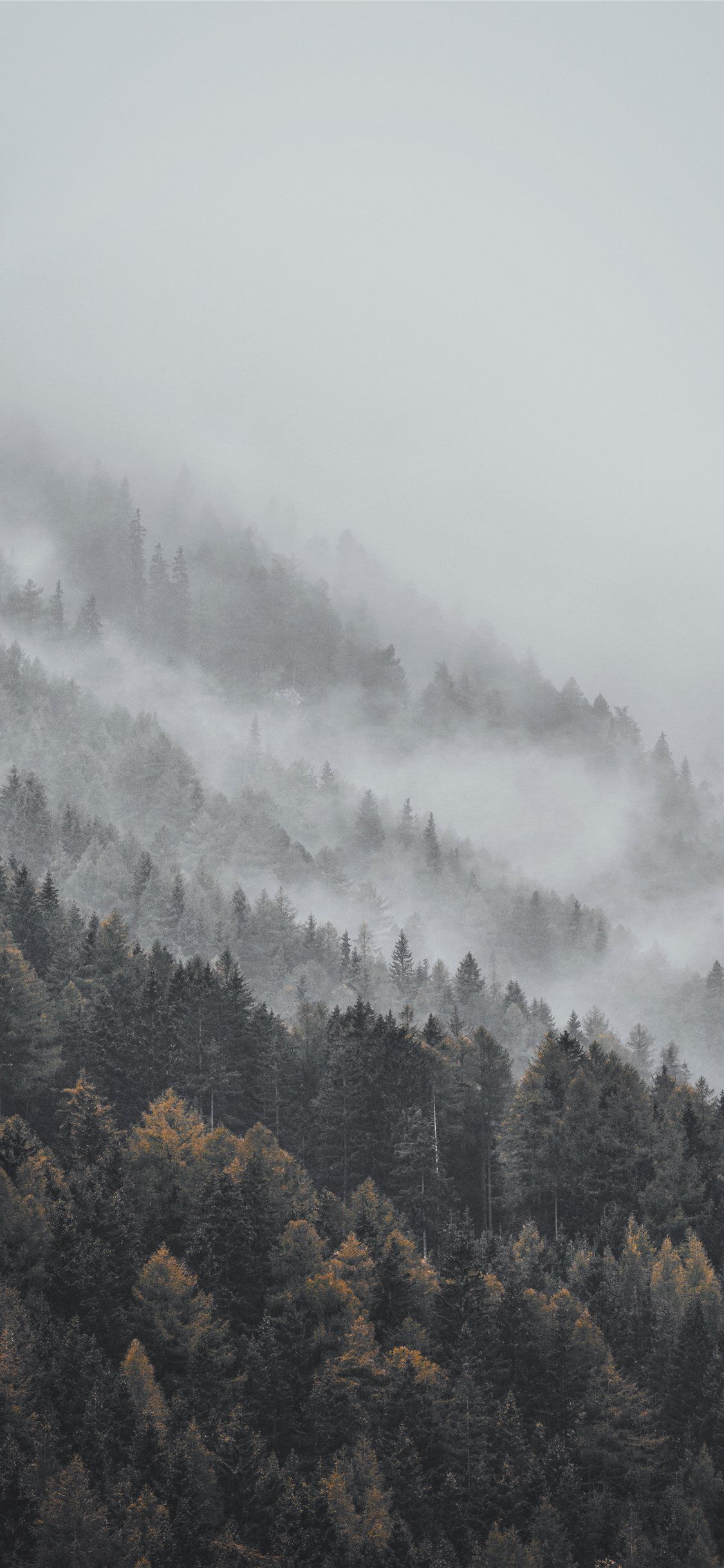 snow dur. iPhone X Wallpaper .ilikewallpaper.net