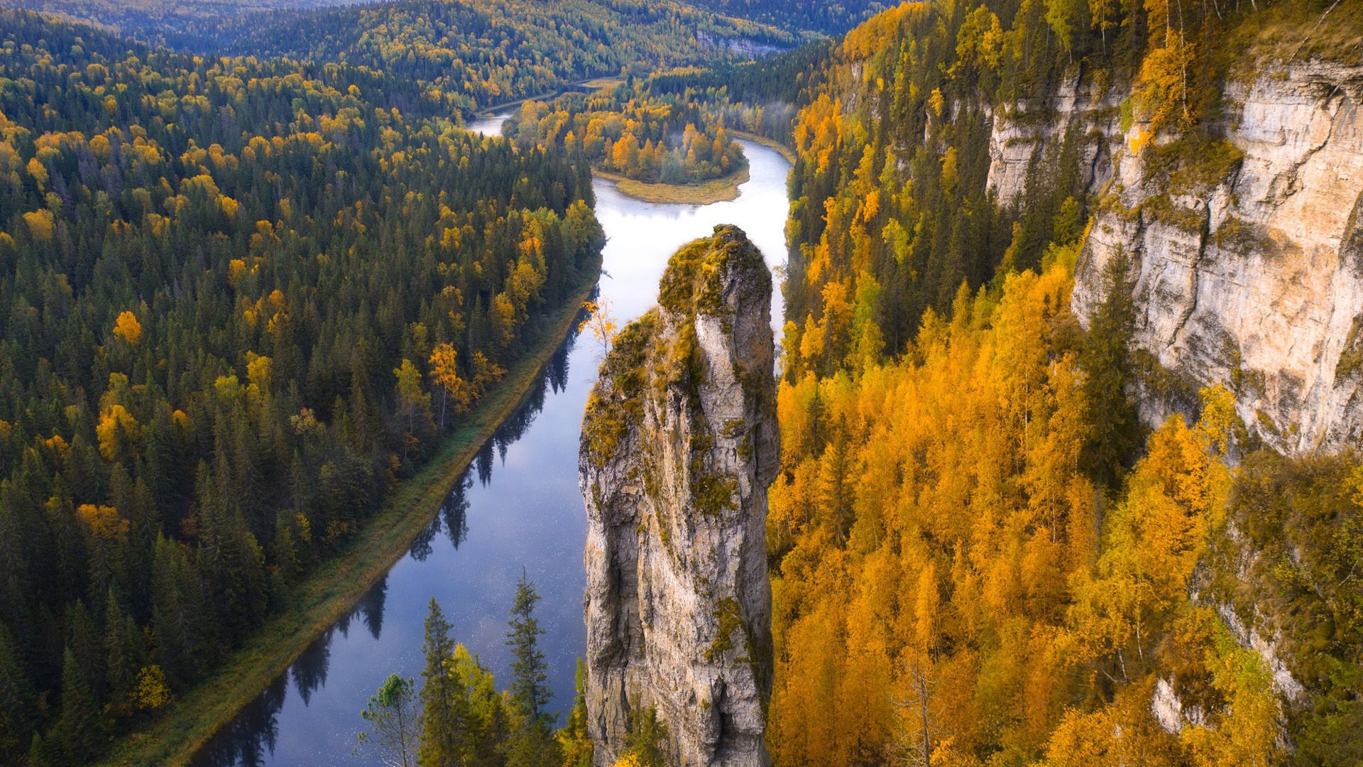 Areial View of River Between Green And Yellow Trees Covered Forest In Russia HD Nature Wallpaper