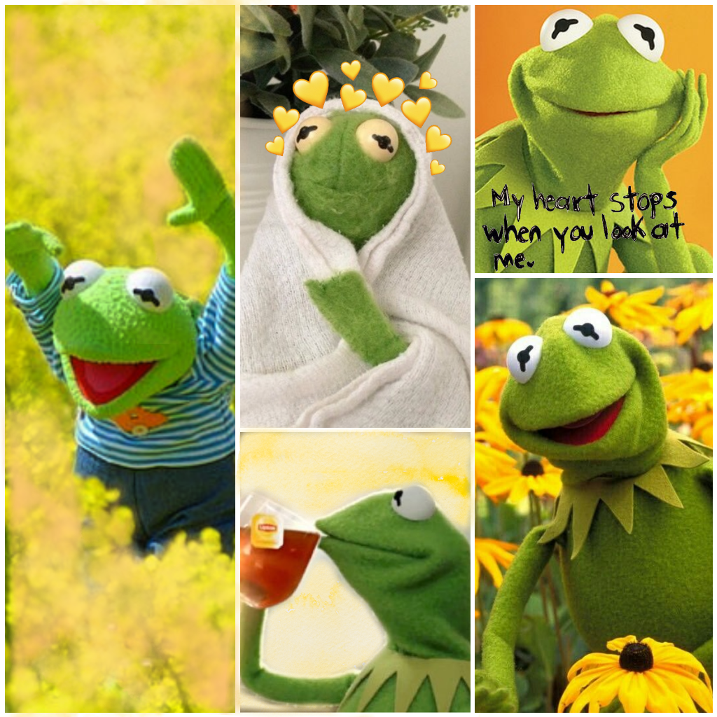 Kermit The Frog Aesthetic.