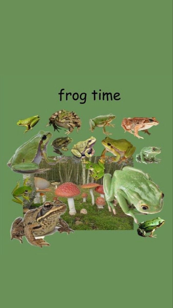 Frog Aesthetic Background - gabrielle-monde