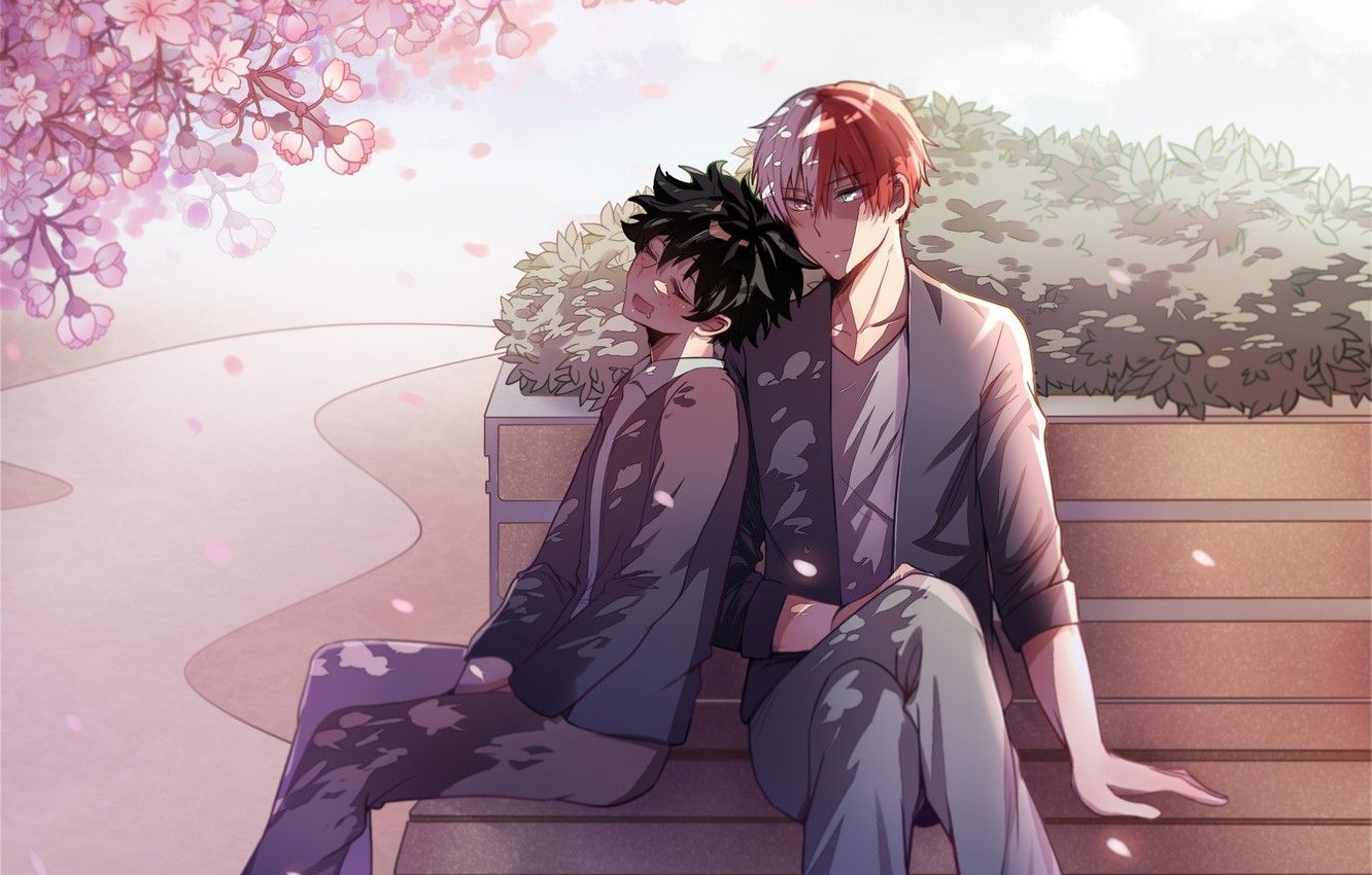 Tododeku Wallpaperwallpaper.dog