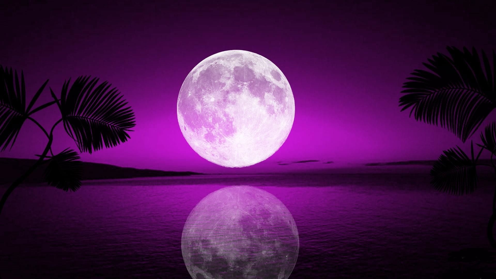 Purple Moonlight Wallpaper Free .wallpaperaccess.com